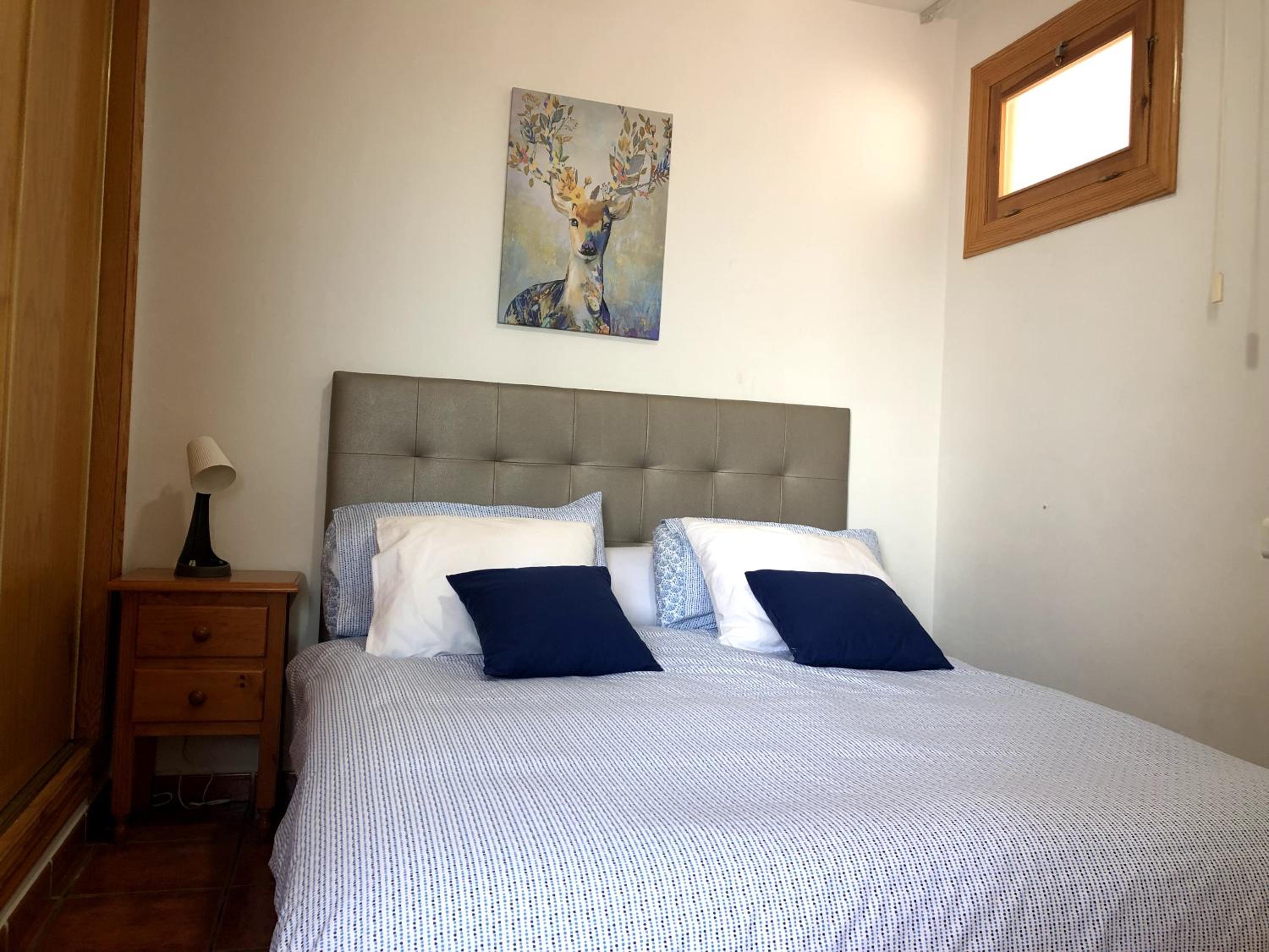 Apartamento de una habitación con terraza - Planta Baja