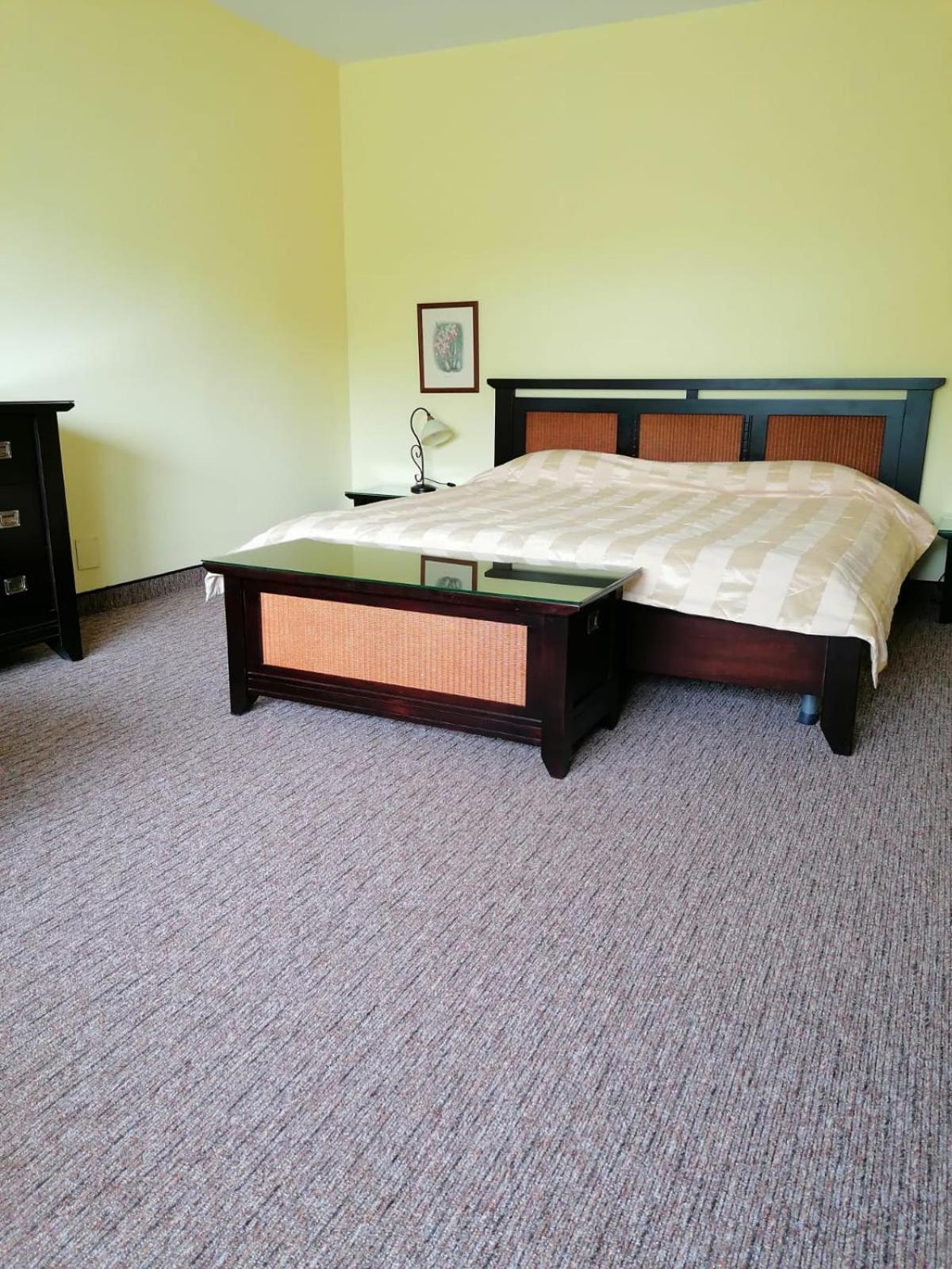 Junior Suite with Terrace photo 3