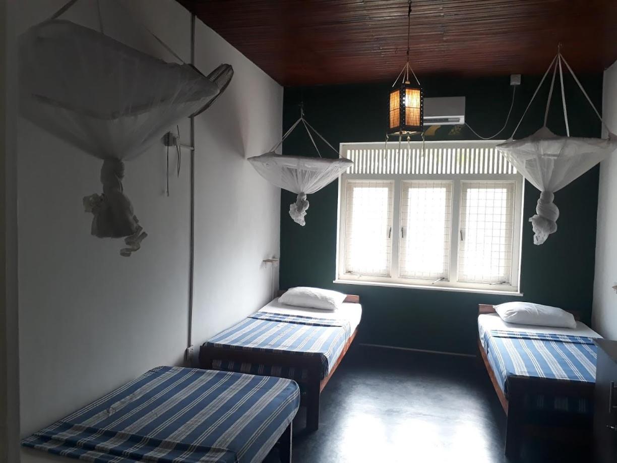 Single Bed in Mixed Dormitory Room photo 3