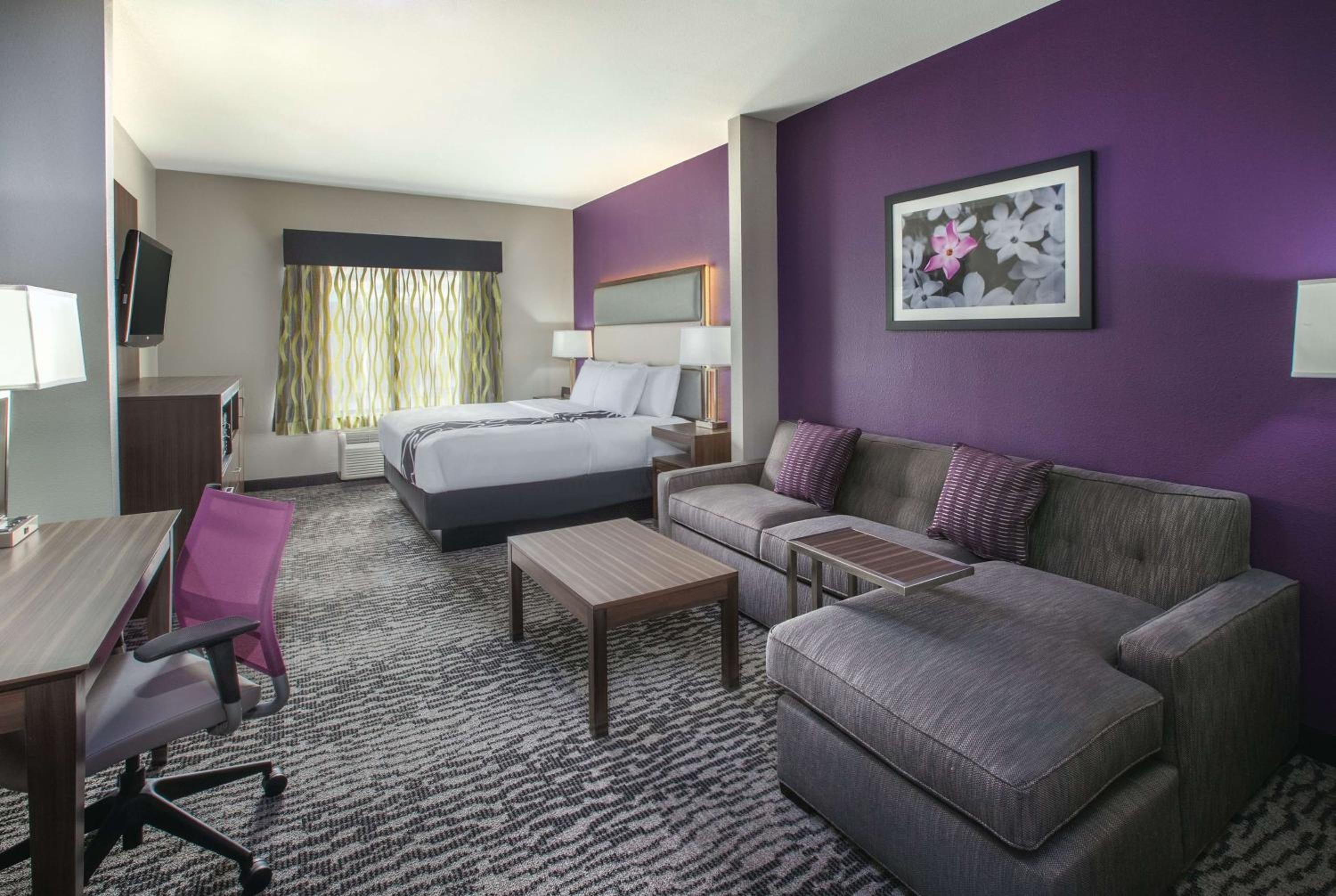 Deluxe King Suite - Non-Smoking - Photo 1