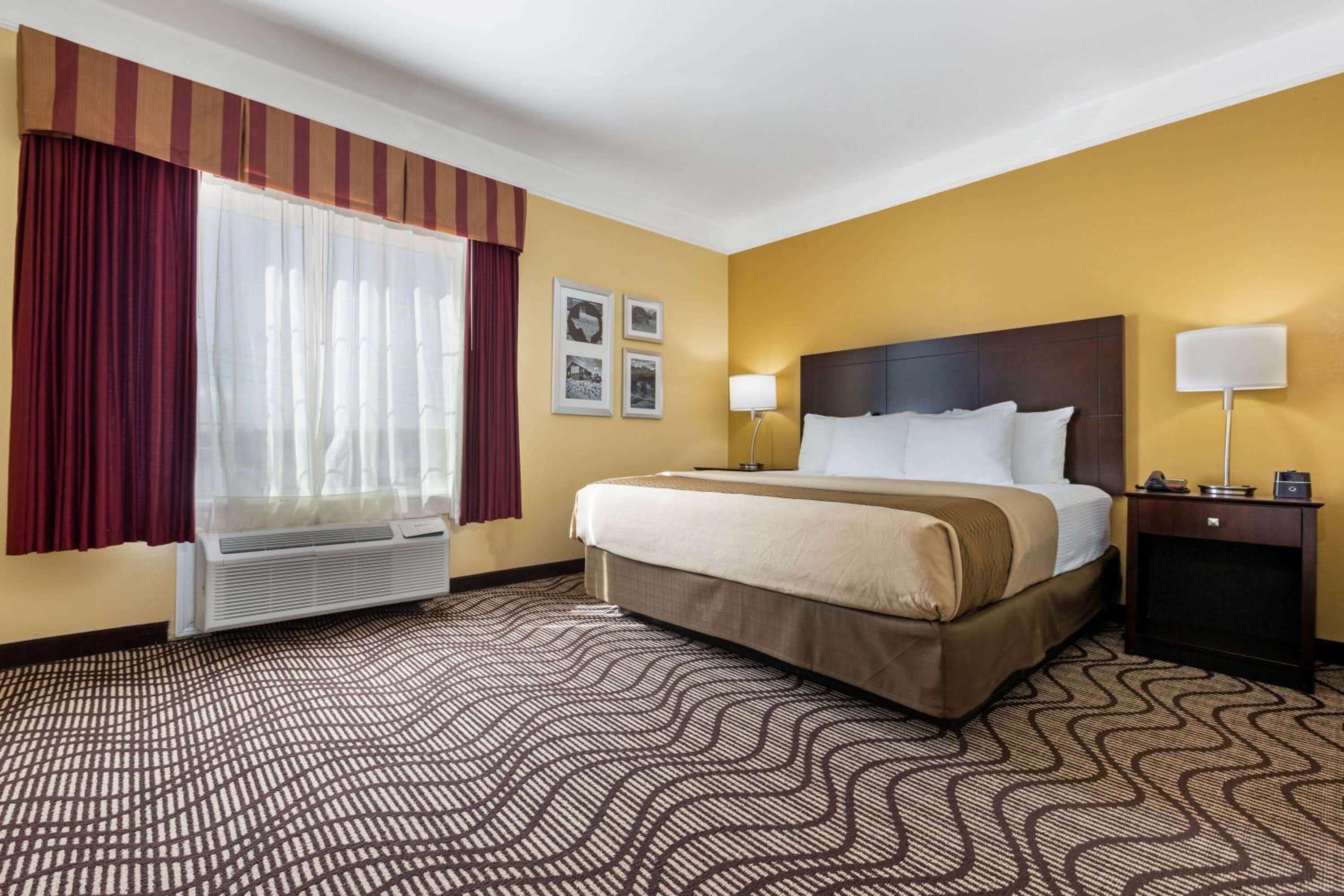 One-Bedroom King Suite - Non-Smoking - Photo 4