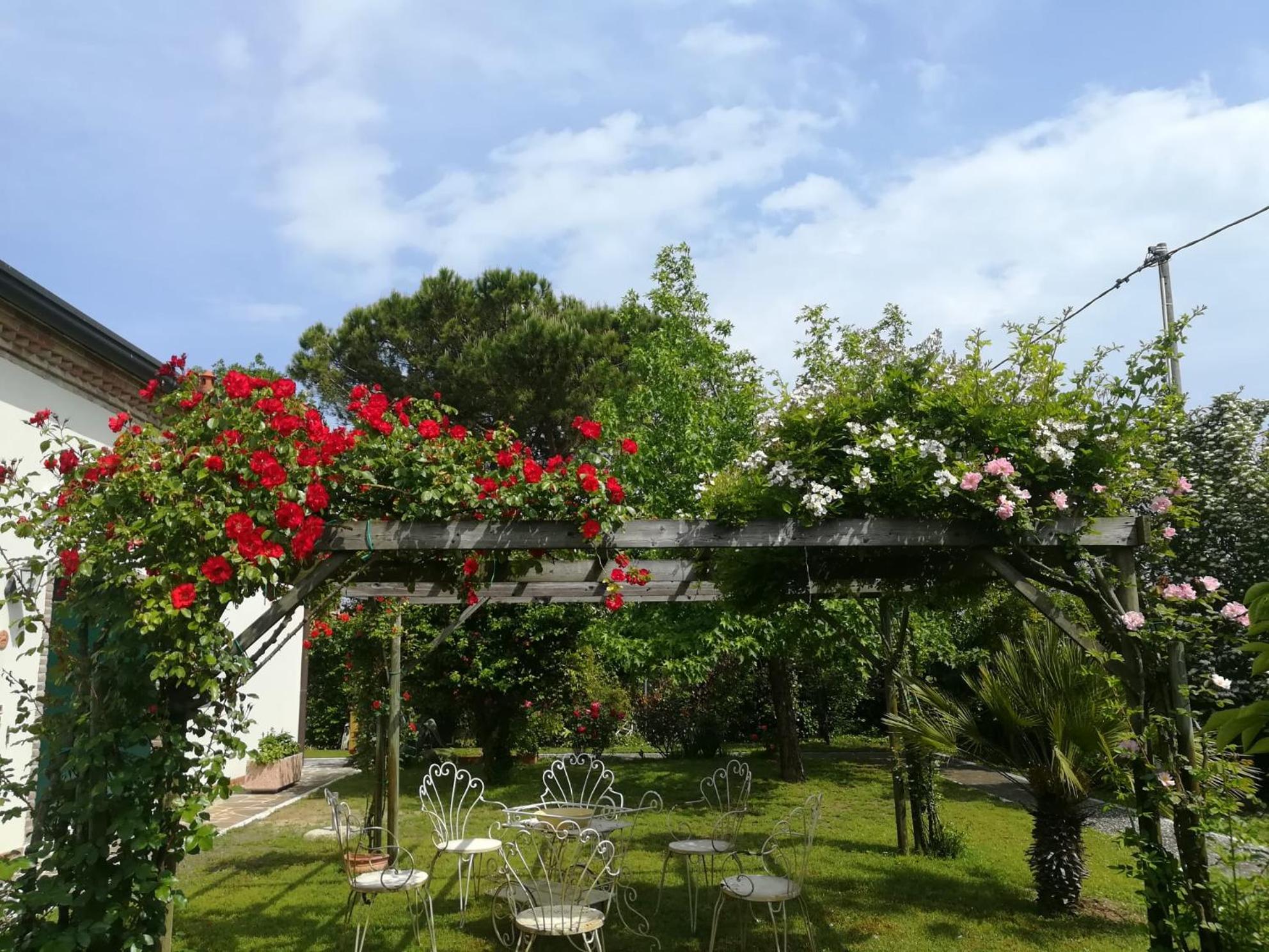 Double Room with Garden View photo 3