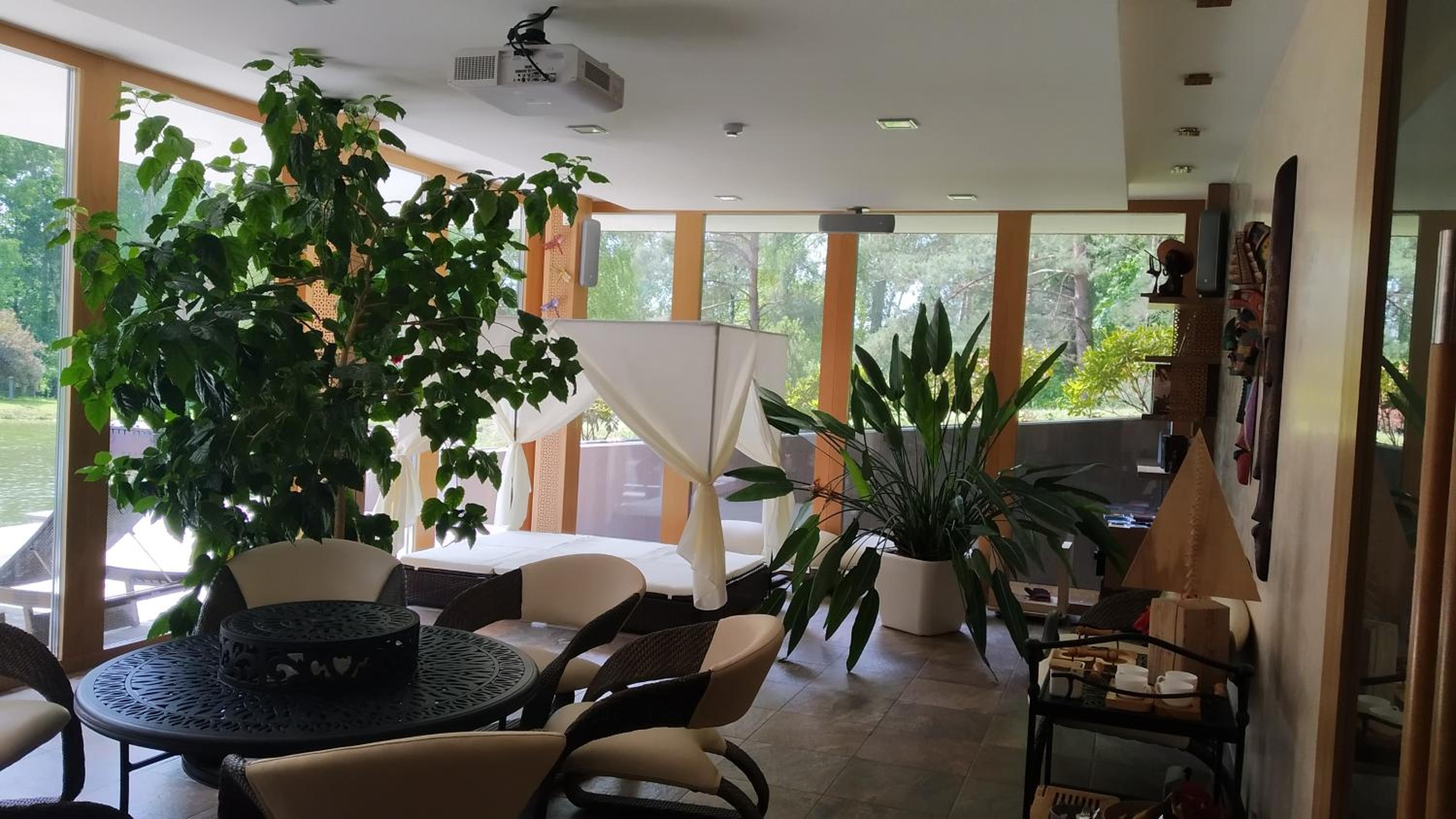 Apartment with Terrace photo 3