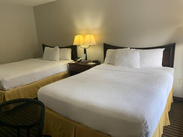 Queen Room with Two Queen Beds - Smoking photo 1
