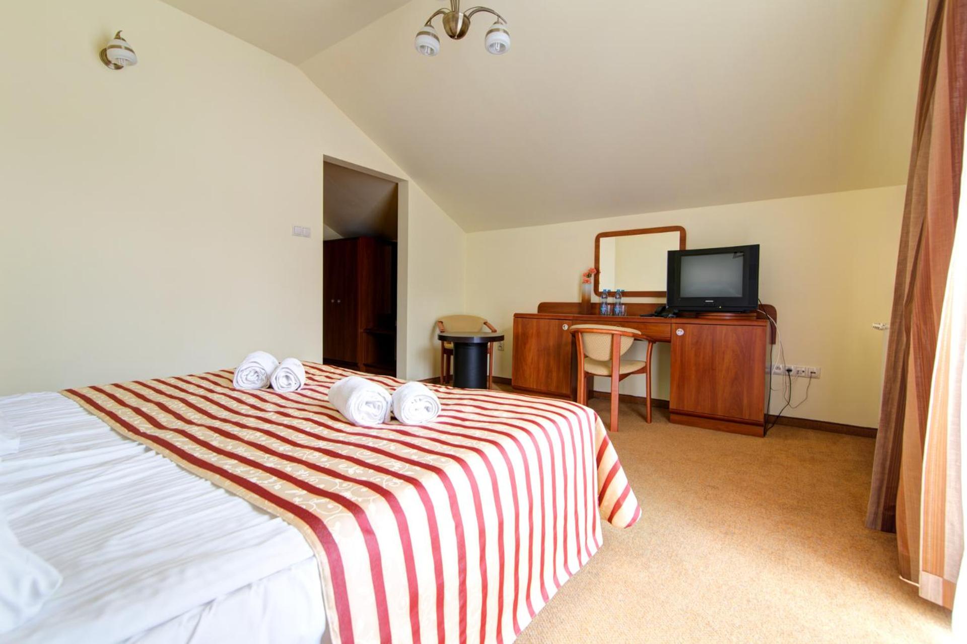 Large Double or Twin Room - Photo 1