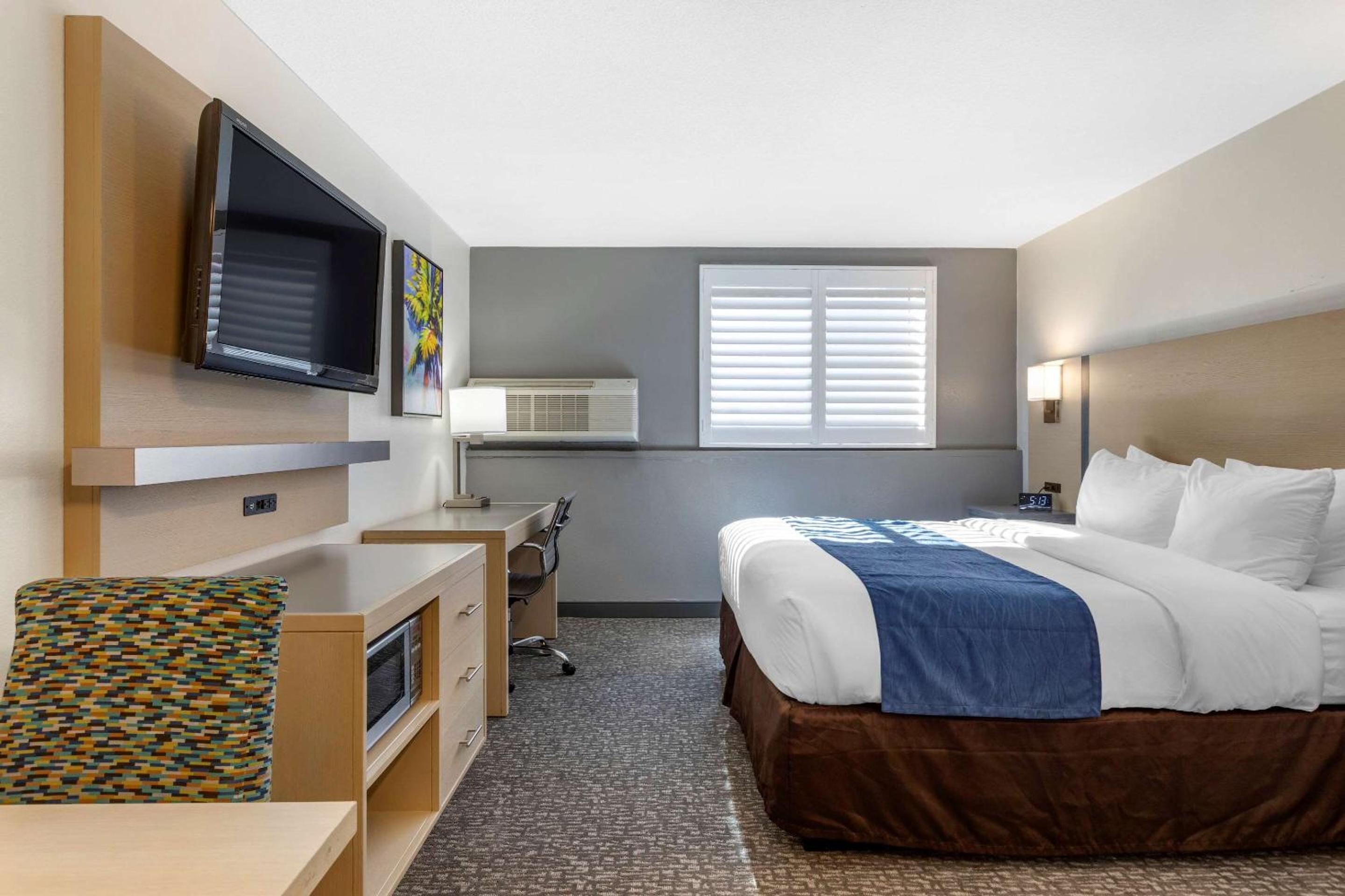 Larger Room, 1 King Bed, Wet Bar, Non Smoking