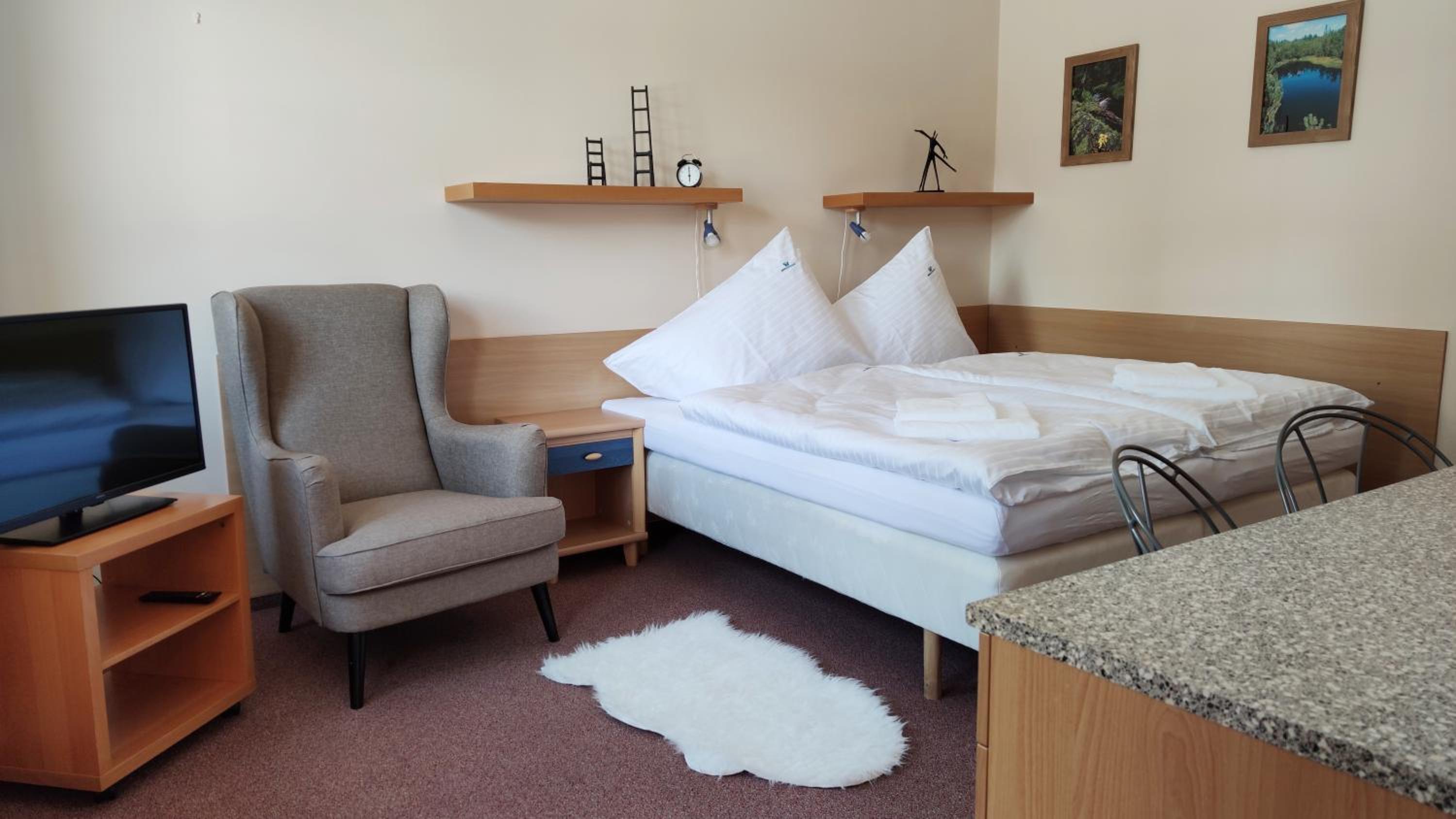 Standard Suite photo 2