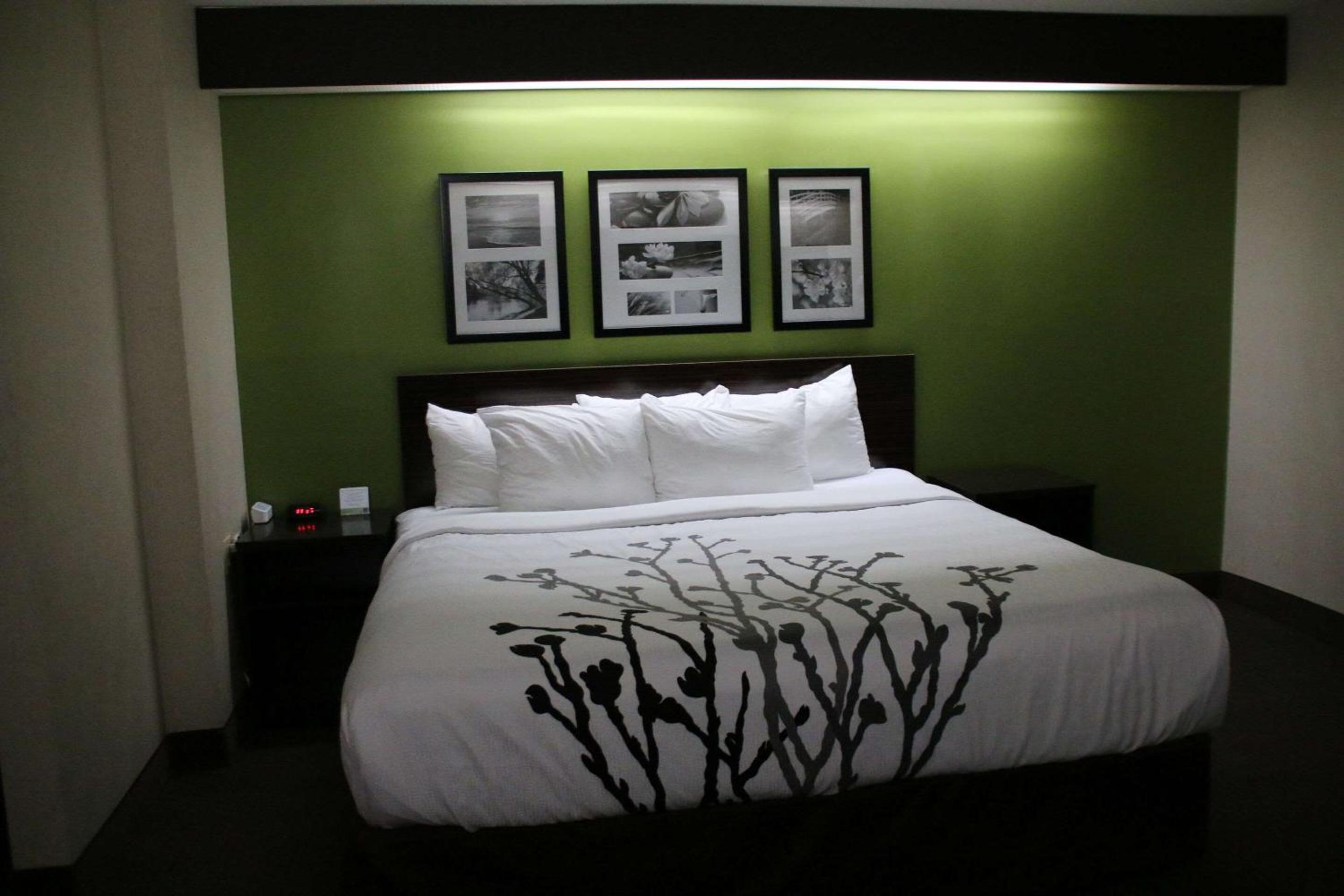 Queen Room - Accessible/Non-Smoking - Photo 2