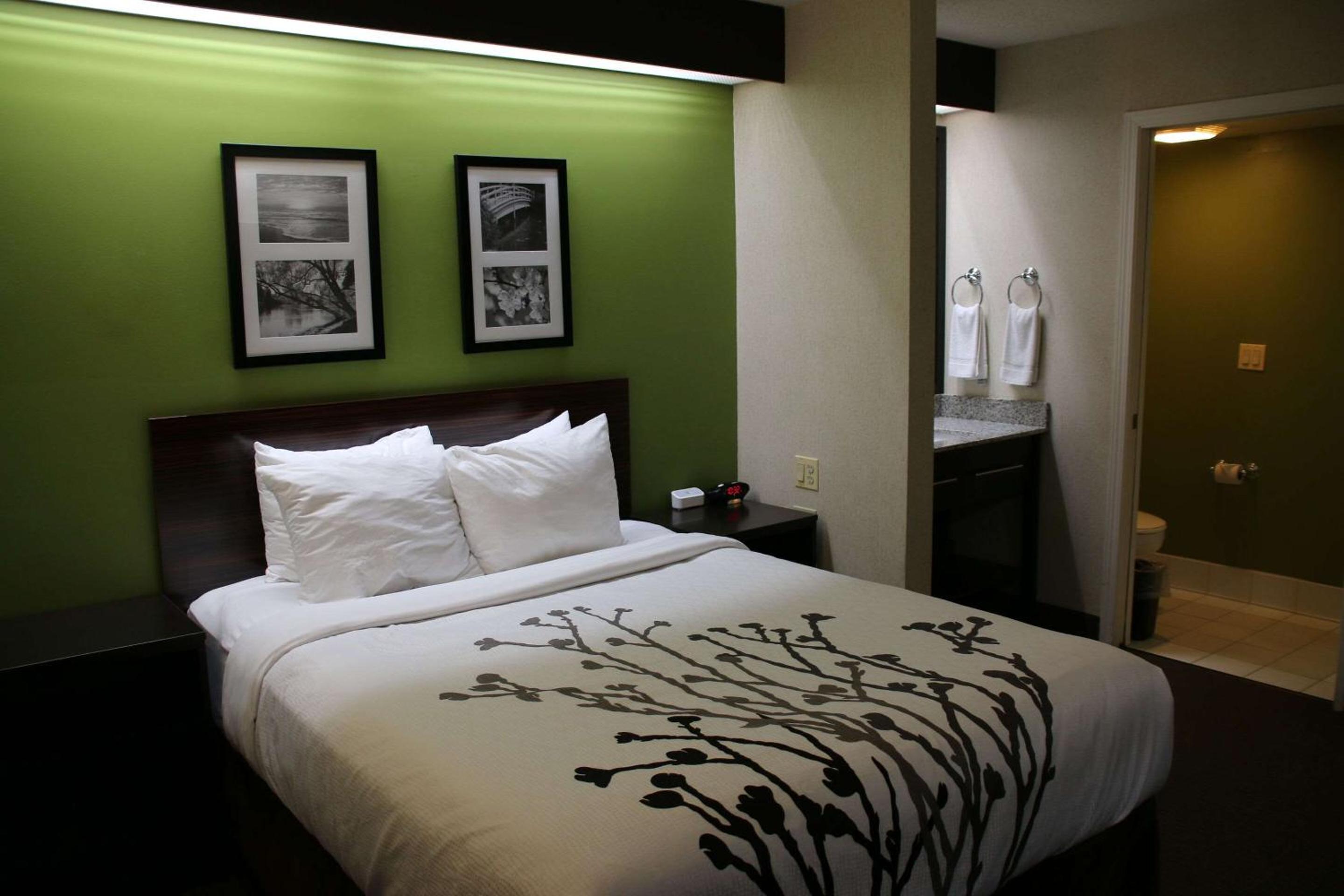 Queen Room - Non-Smoking - Photo 1