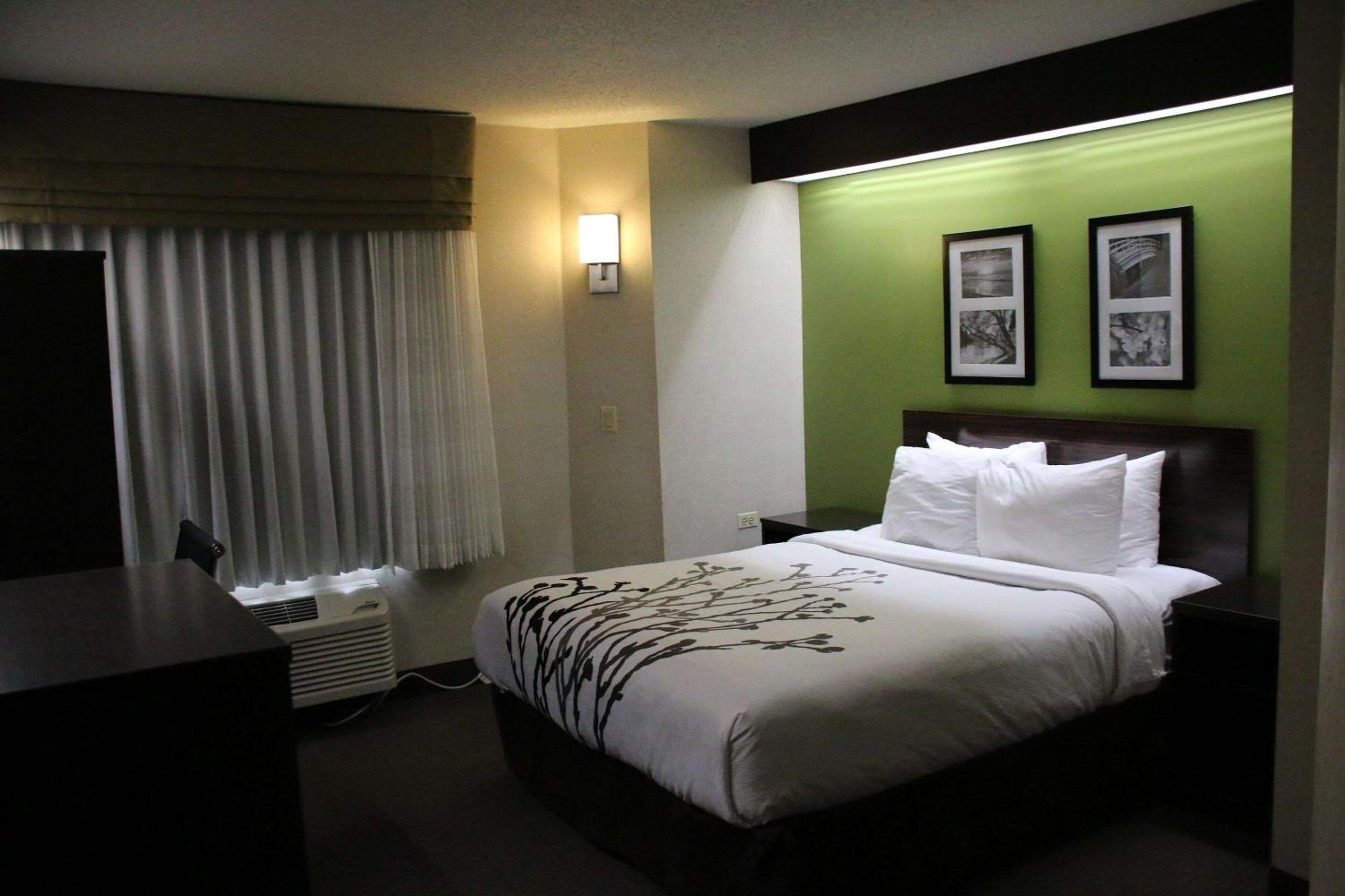 Queen Room - Non-Smoking - Photo 4