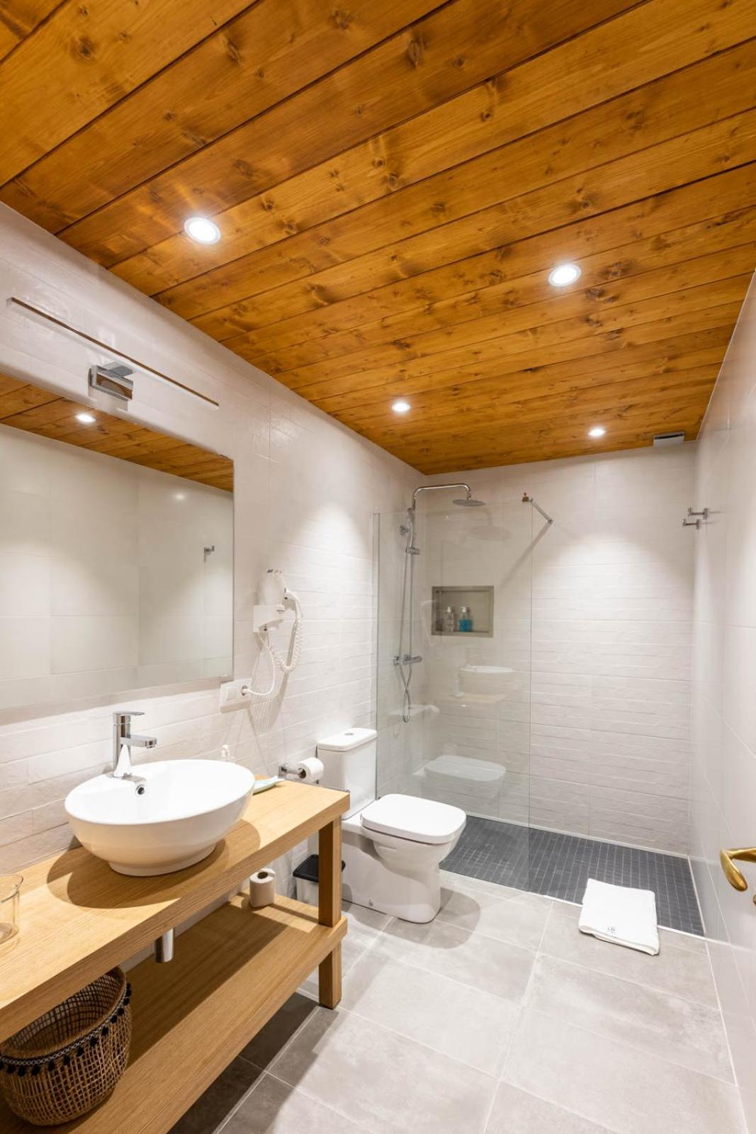 Deluxe Apartment with jacuzzi photo 2