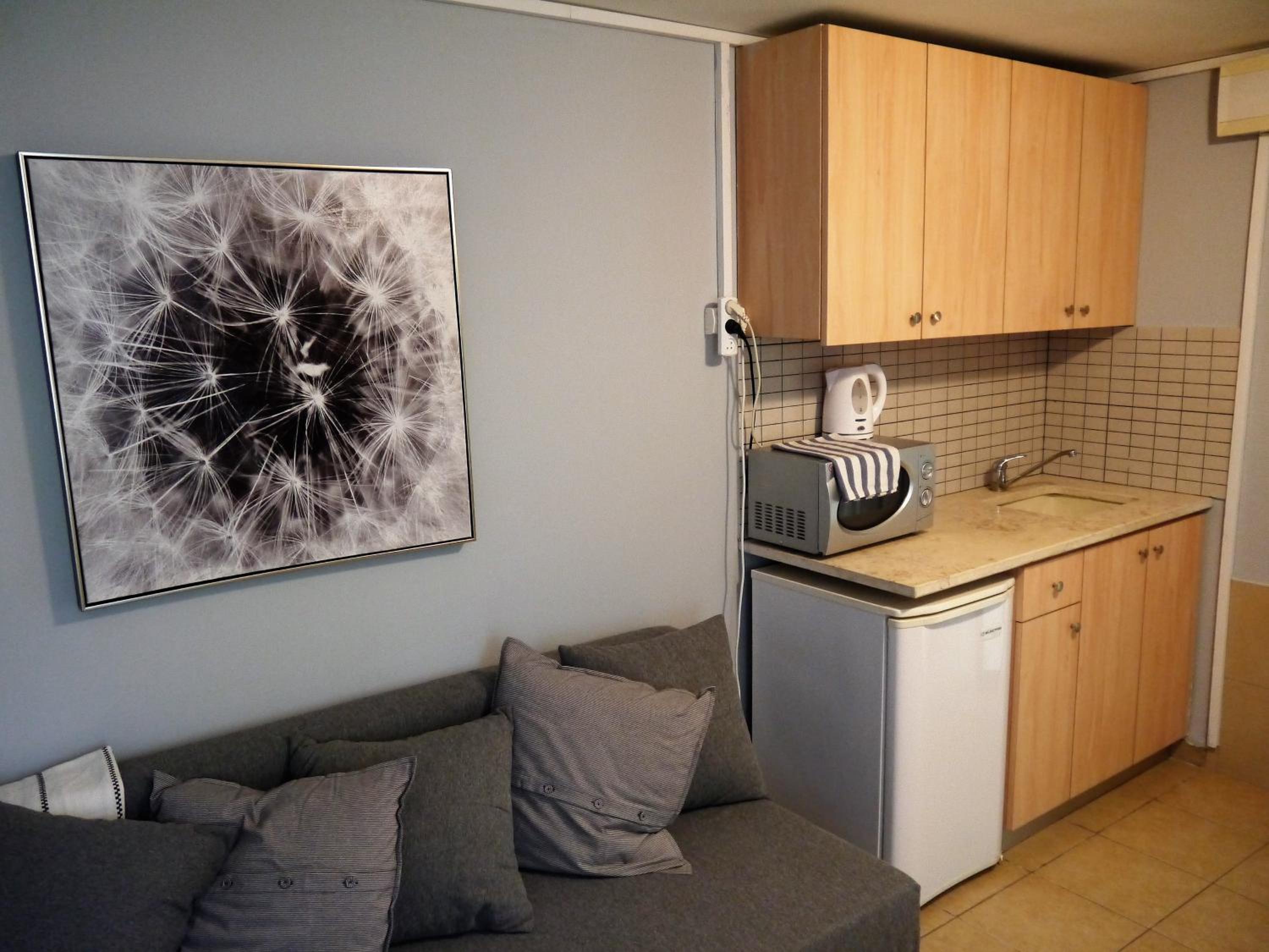 One-Bedroom Apartment photo 3