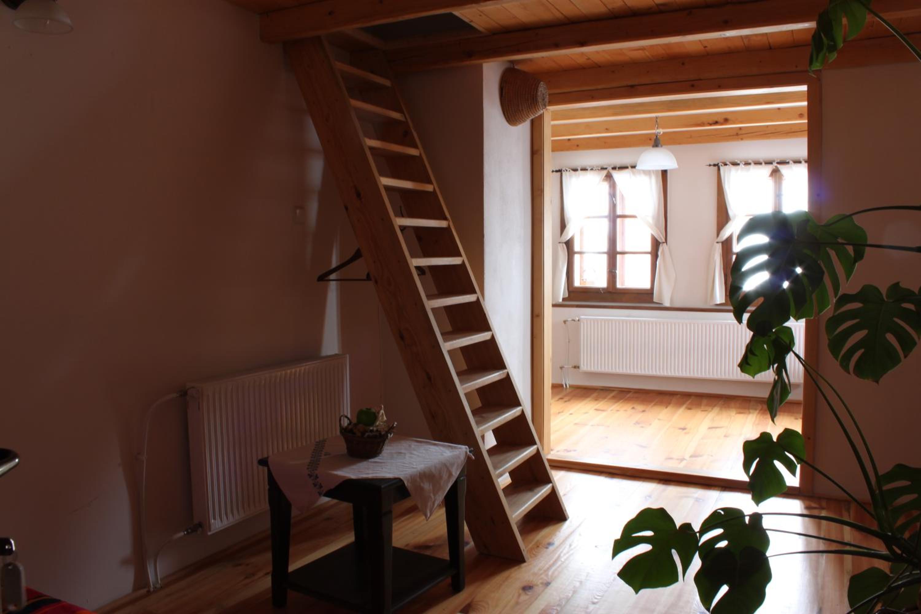 Suite - Photo 4