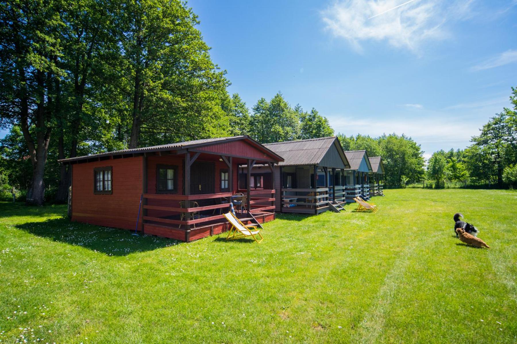 Chalet (2 Adults + 2 Children) photo 2