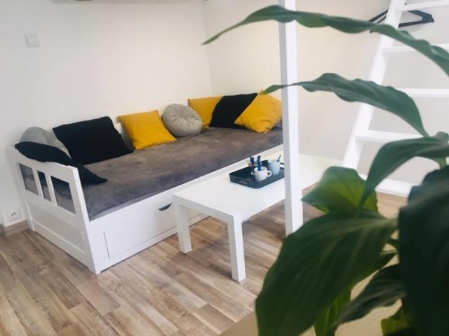 Studio Apartment photo 1