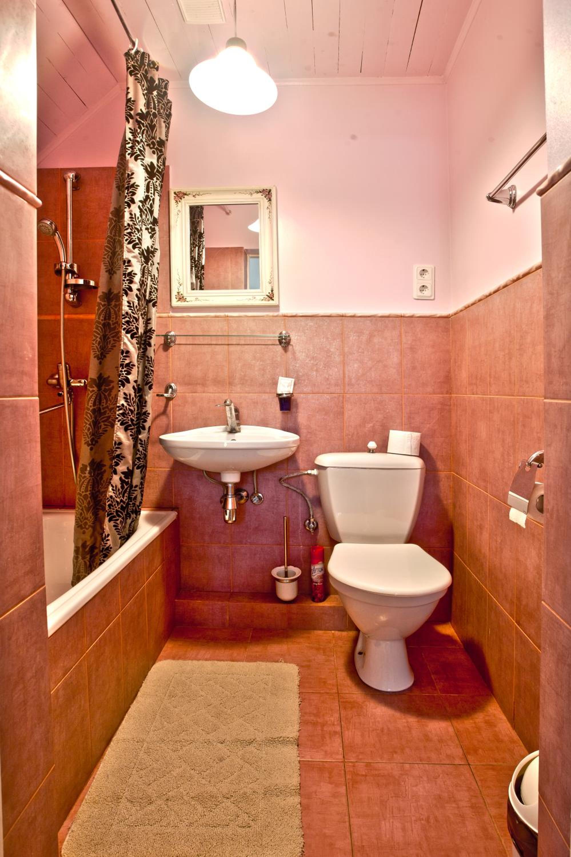 One-Bedroom Apartment with Terrace photo 2