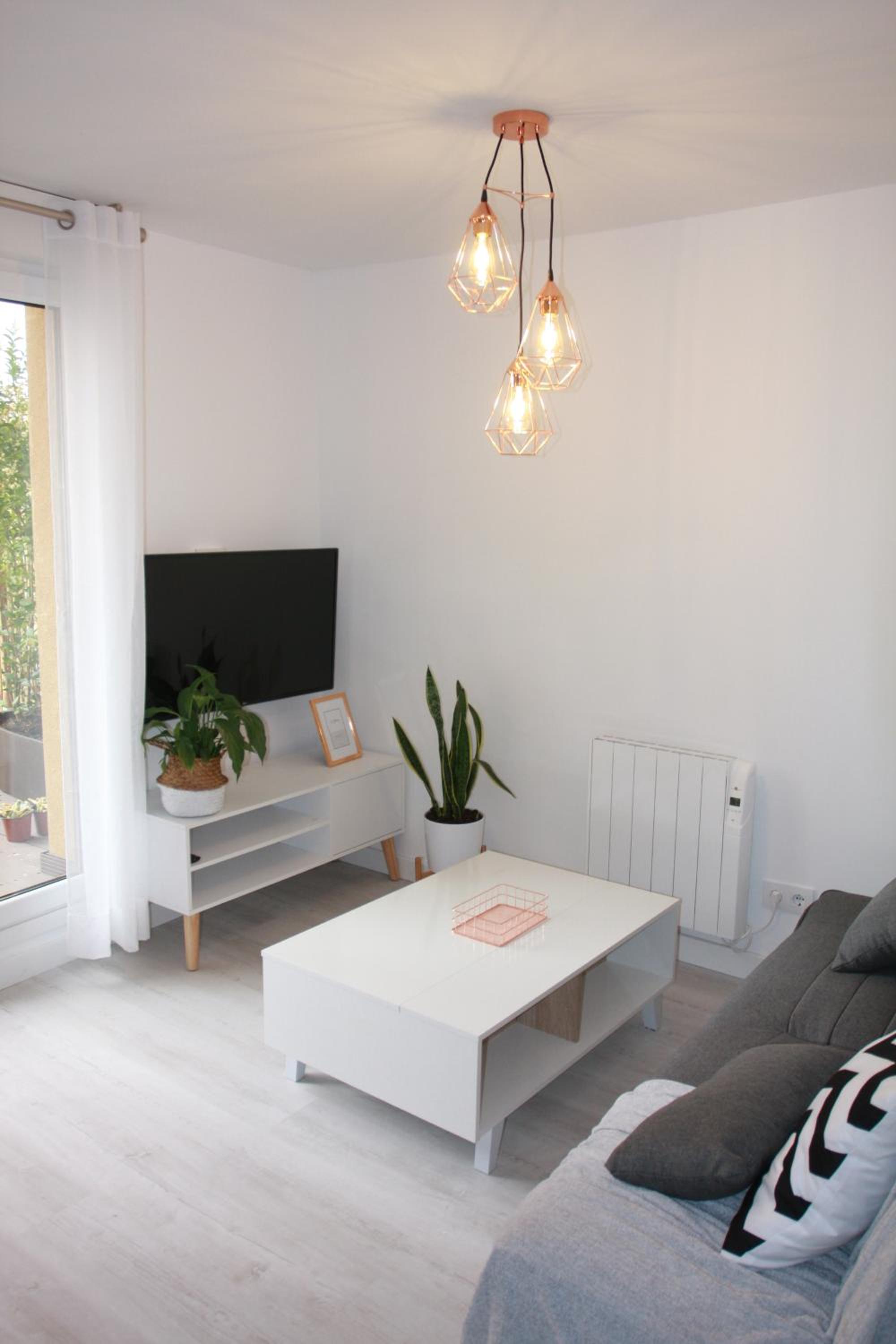 Apartment with Terrace photo 3