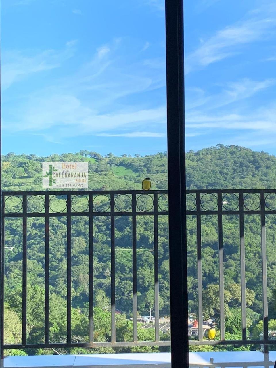 Twin Room with Mountain View - Photo 8