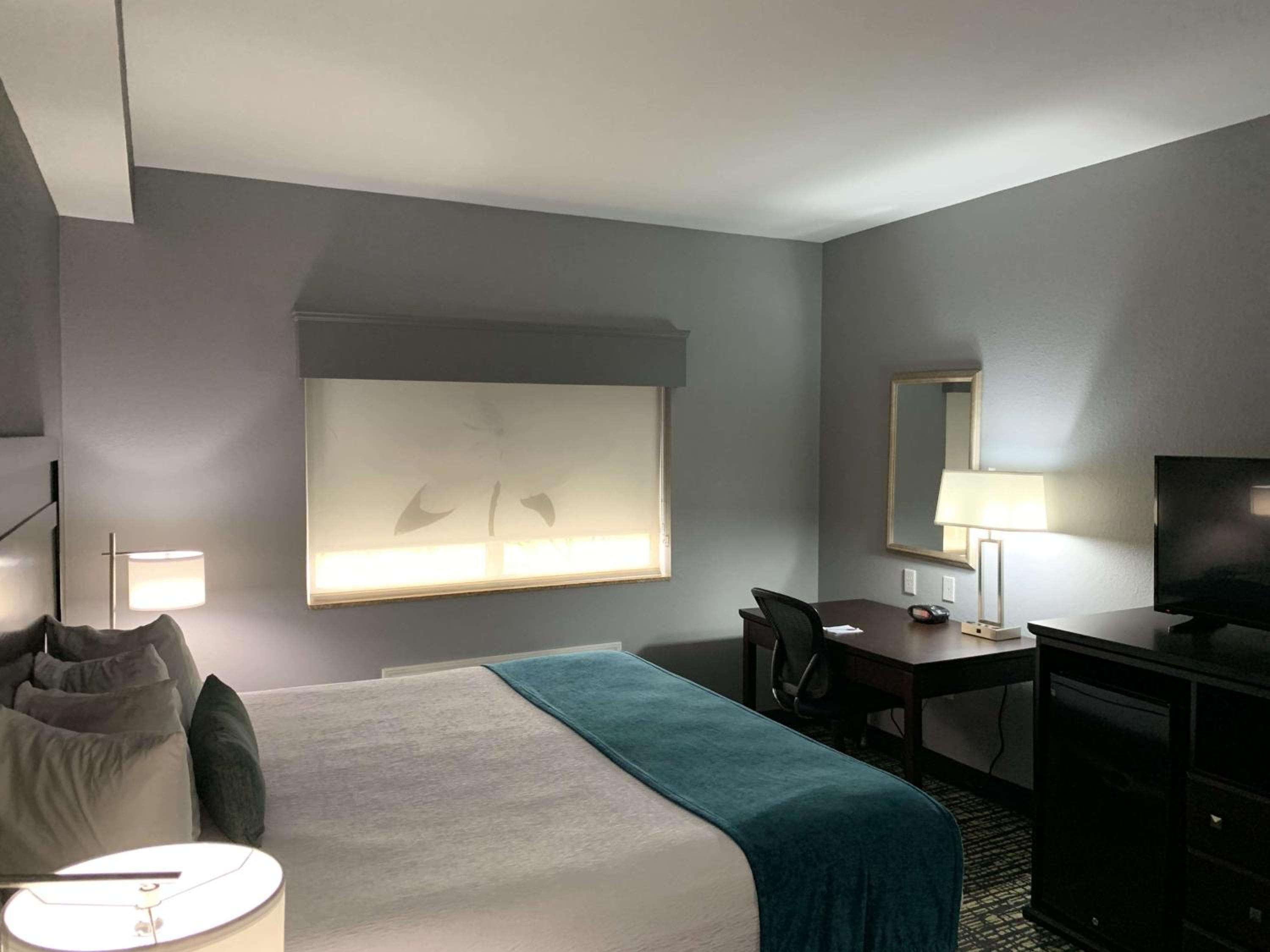 King Room - Non-Smoking - Photo 6