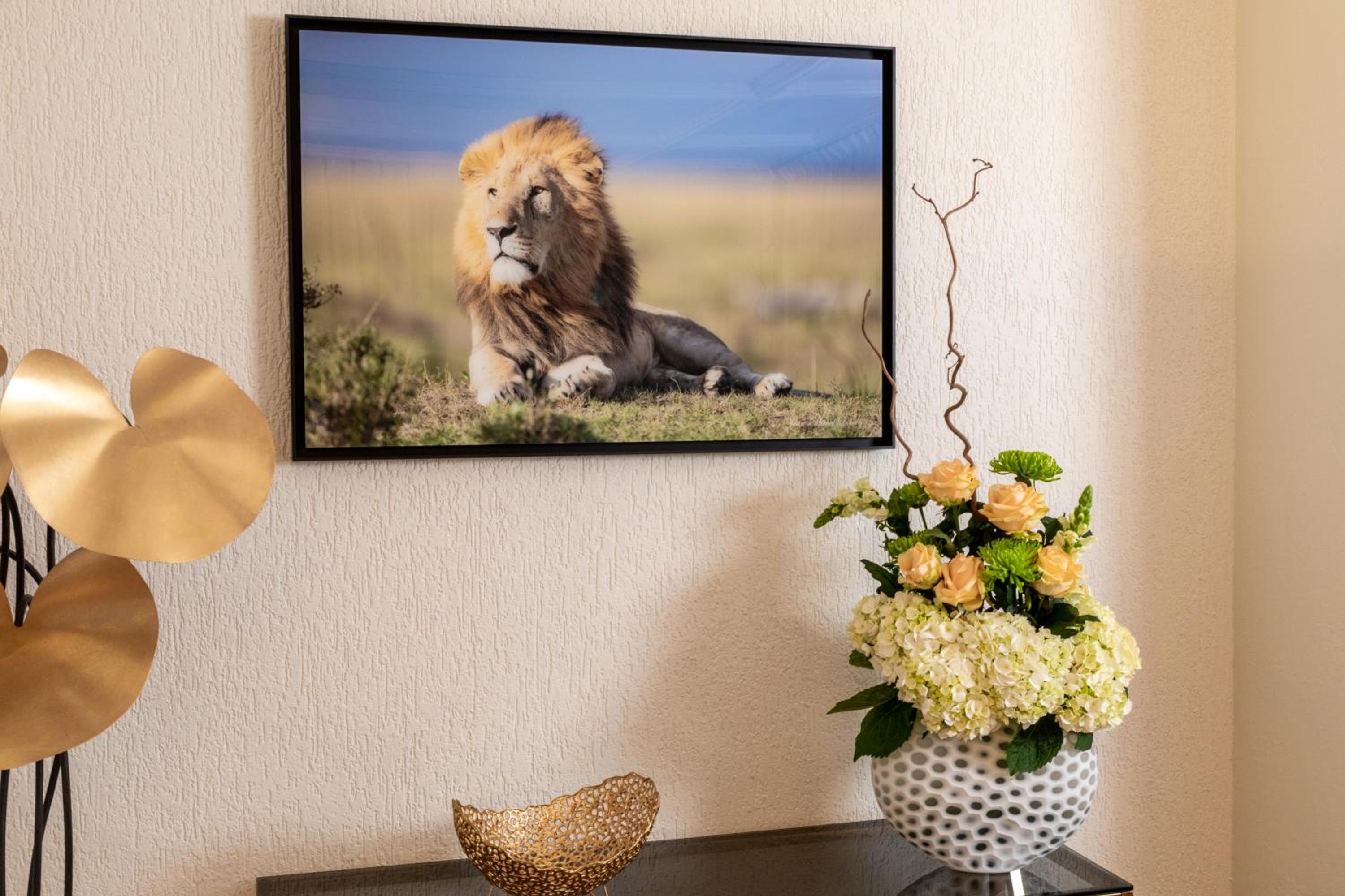 Suite Junior***** photo