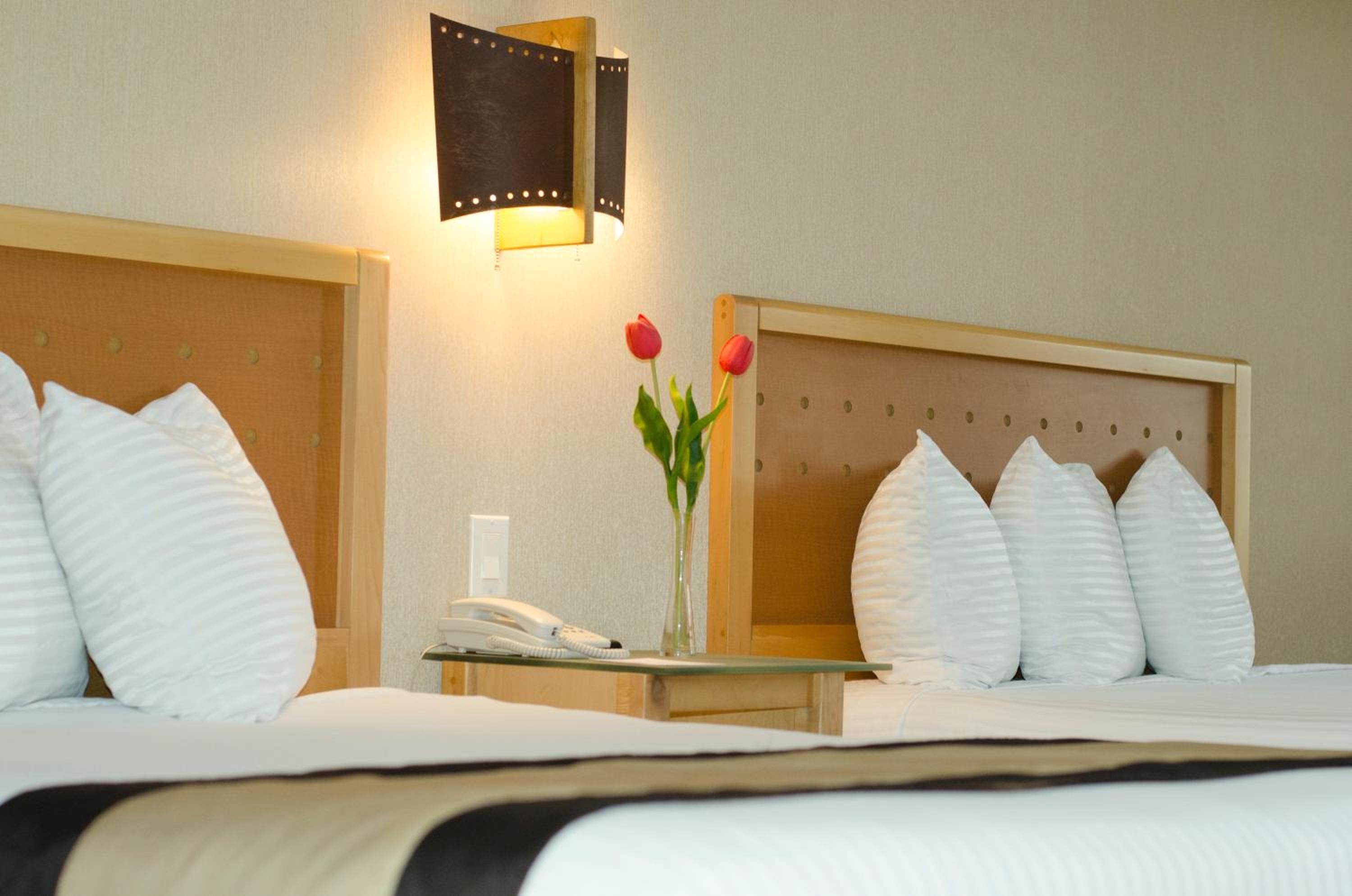 Standard Double Room - Photo 5