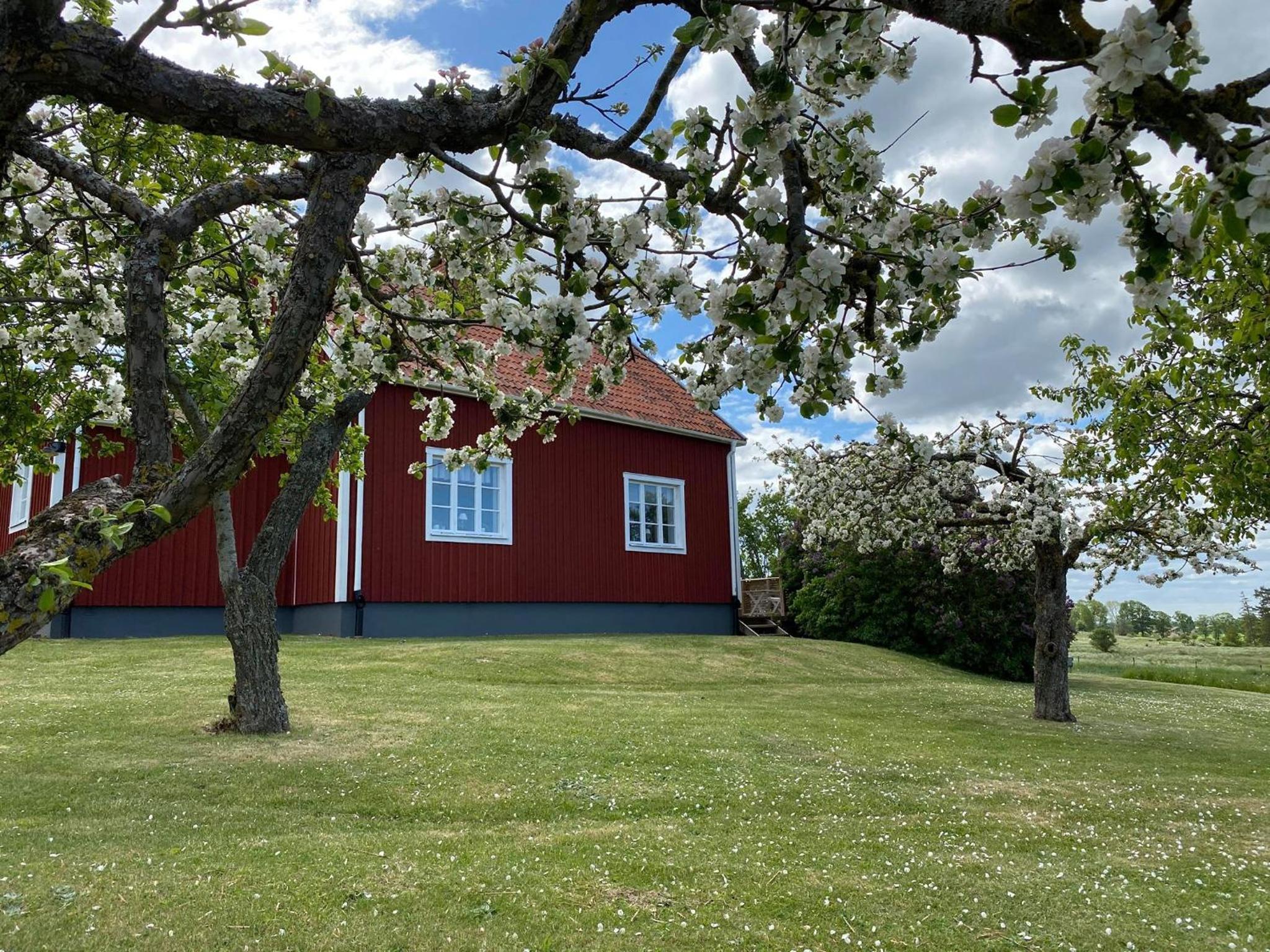 Three-Bedroom Villa photo 2
