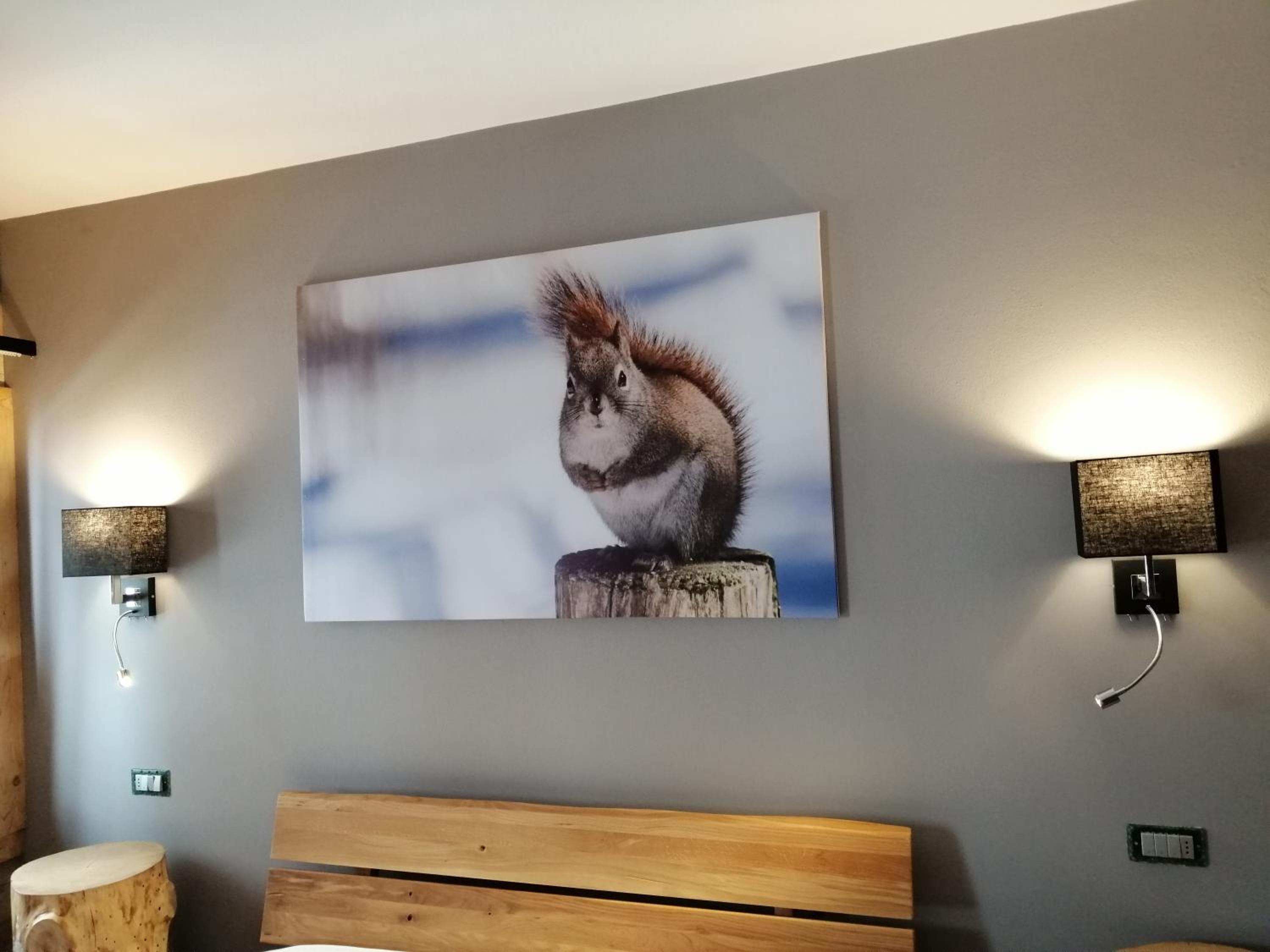 Superior Family Room - Photo 10