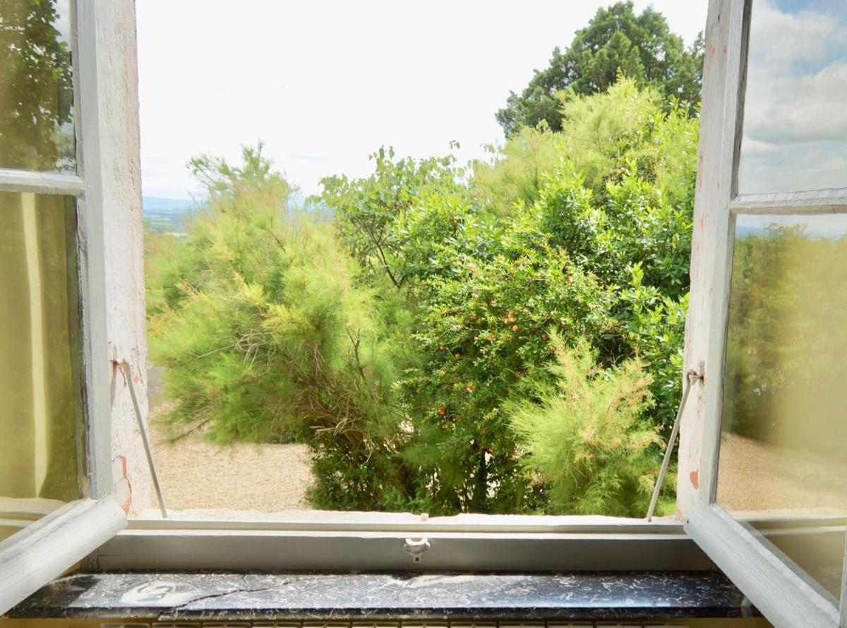 Family Room with Garden View photo 2