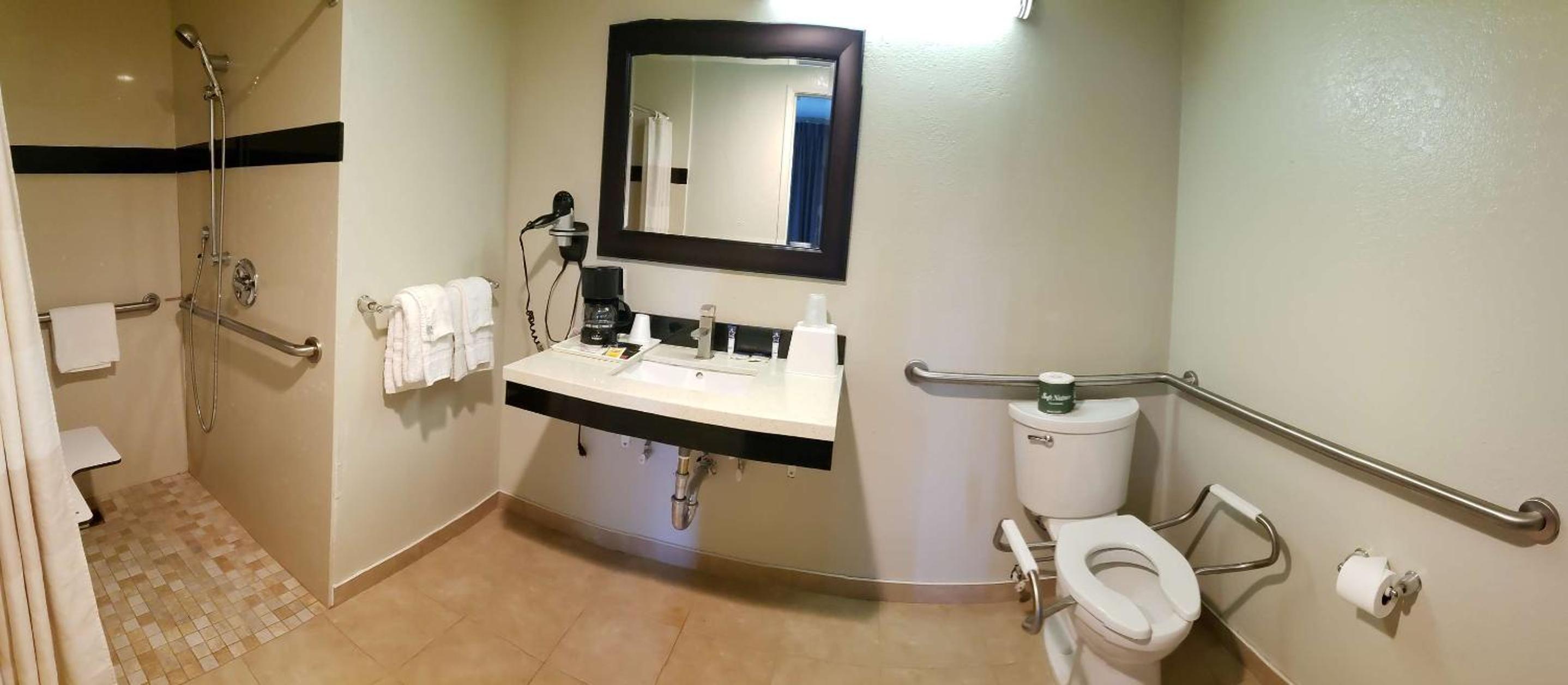 Queen Room with Roll-in Shower - Disability Access - Non-smoking - Photo 4