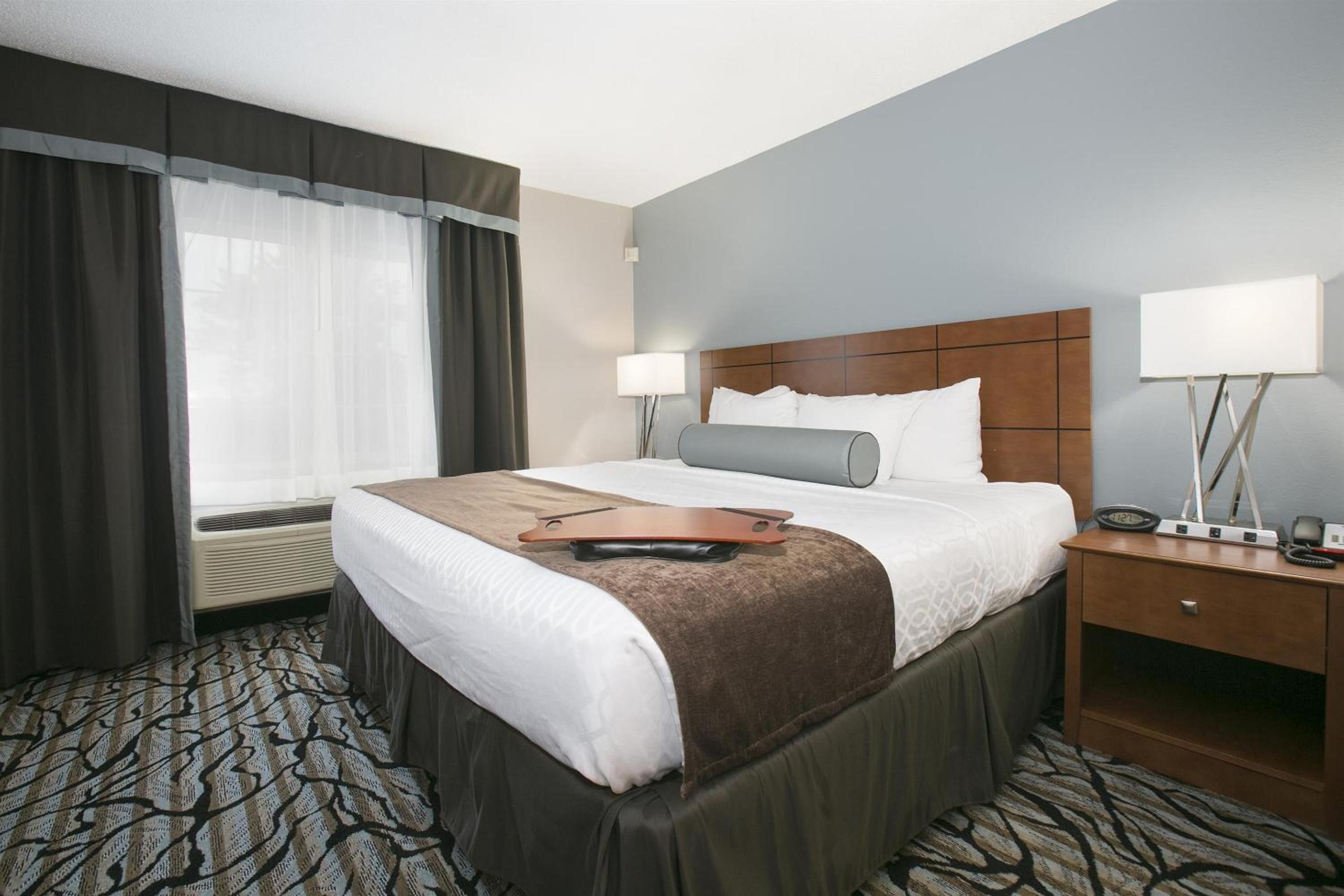King Suite with Bath Tub and Sofa Bed - Disability/Non-Smoking - Photo 12