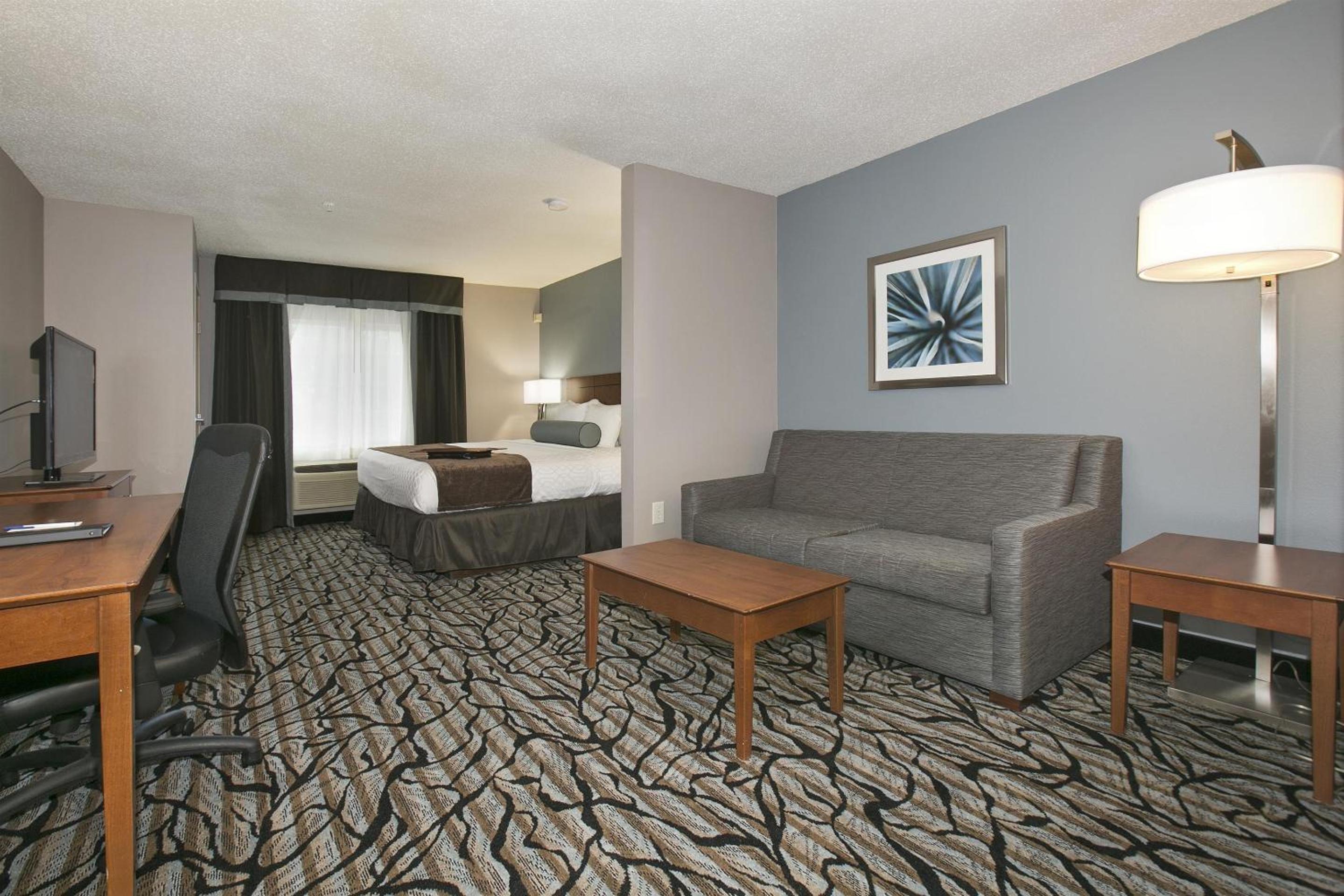 King Suite with Bath Tub and Sofa Bed - Disability/Non-Smoking - Photo 10