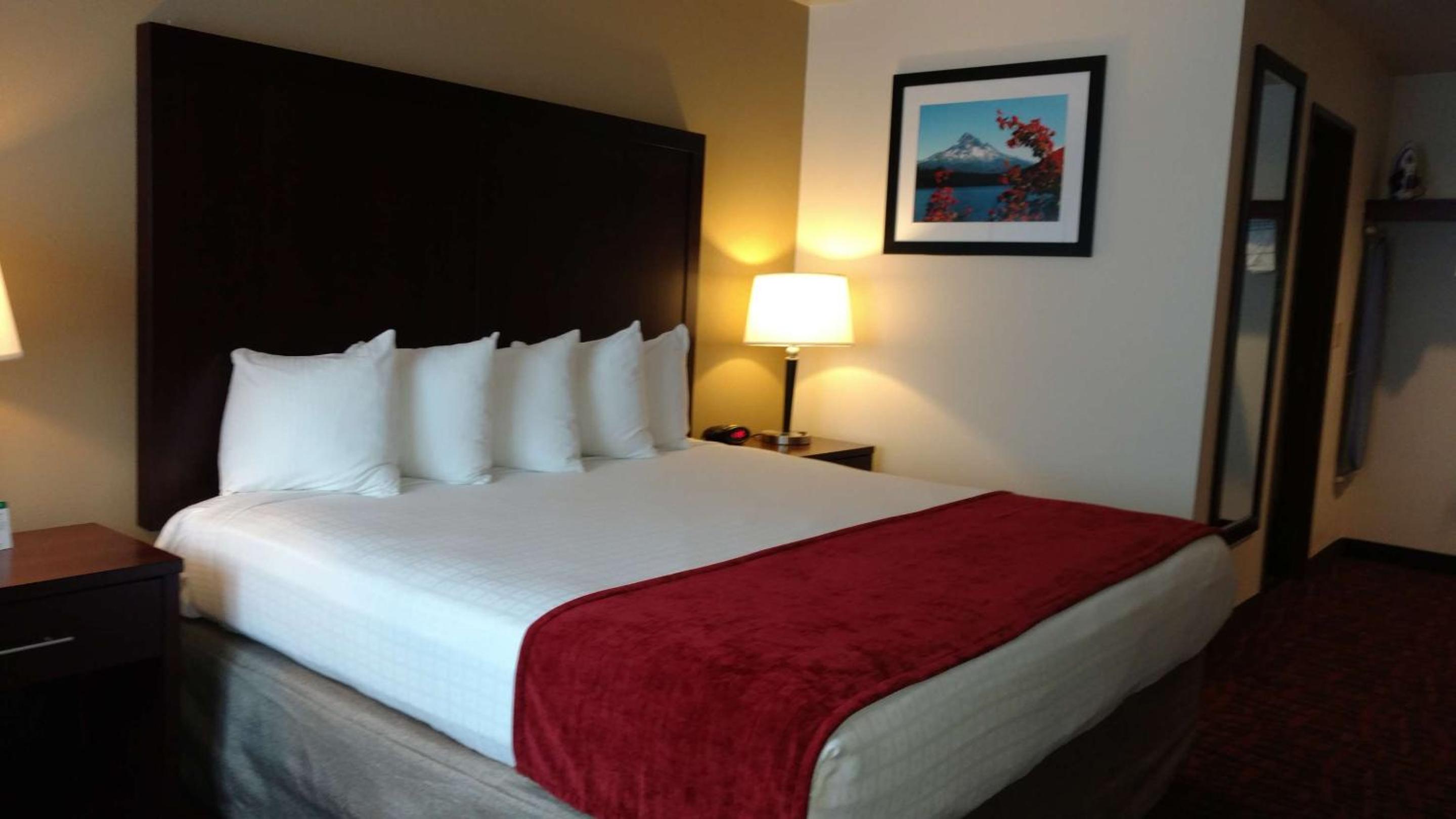 King Room - Non-Smoking - Photo 5