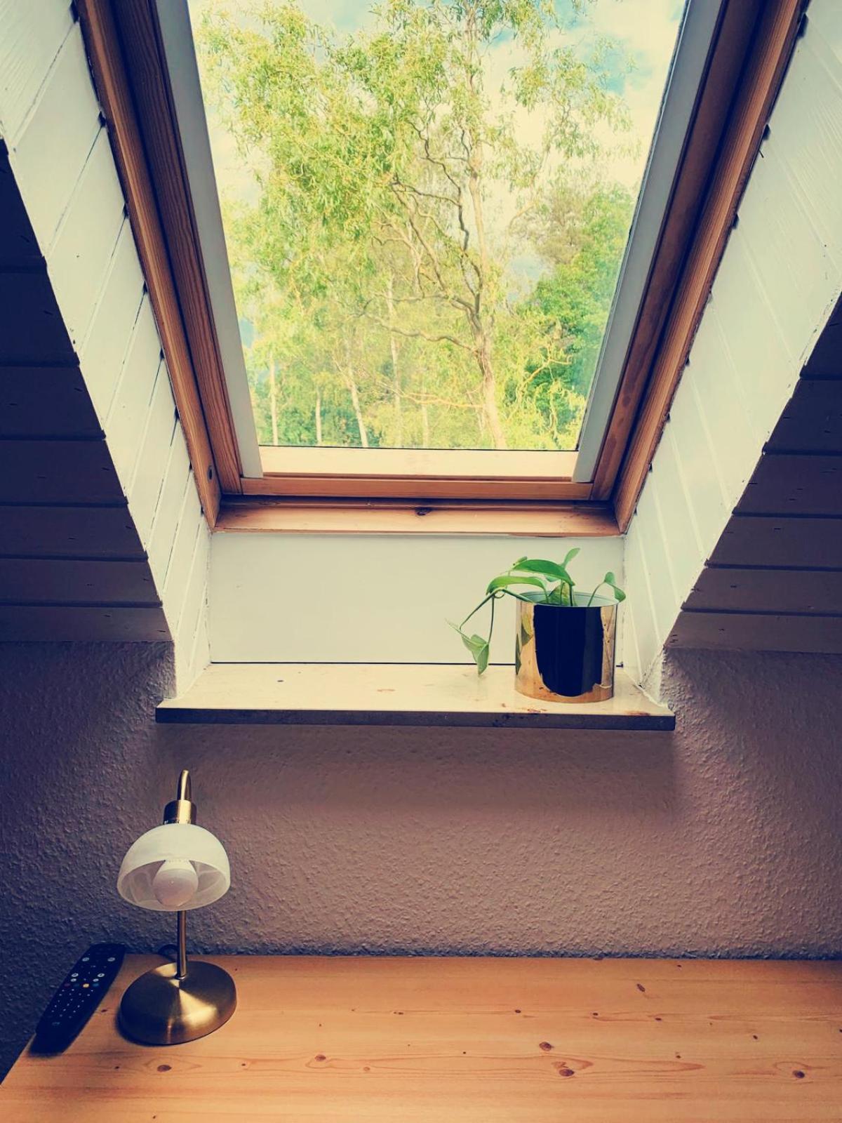 Single Room With Bathroom photo 3
