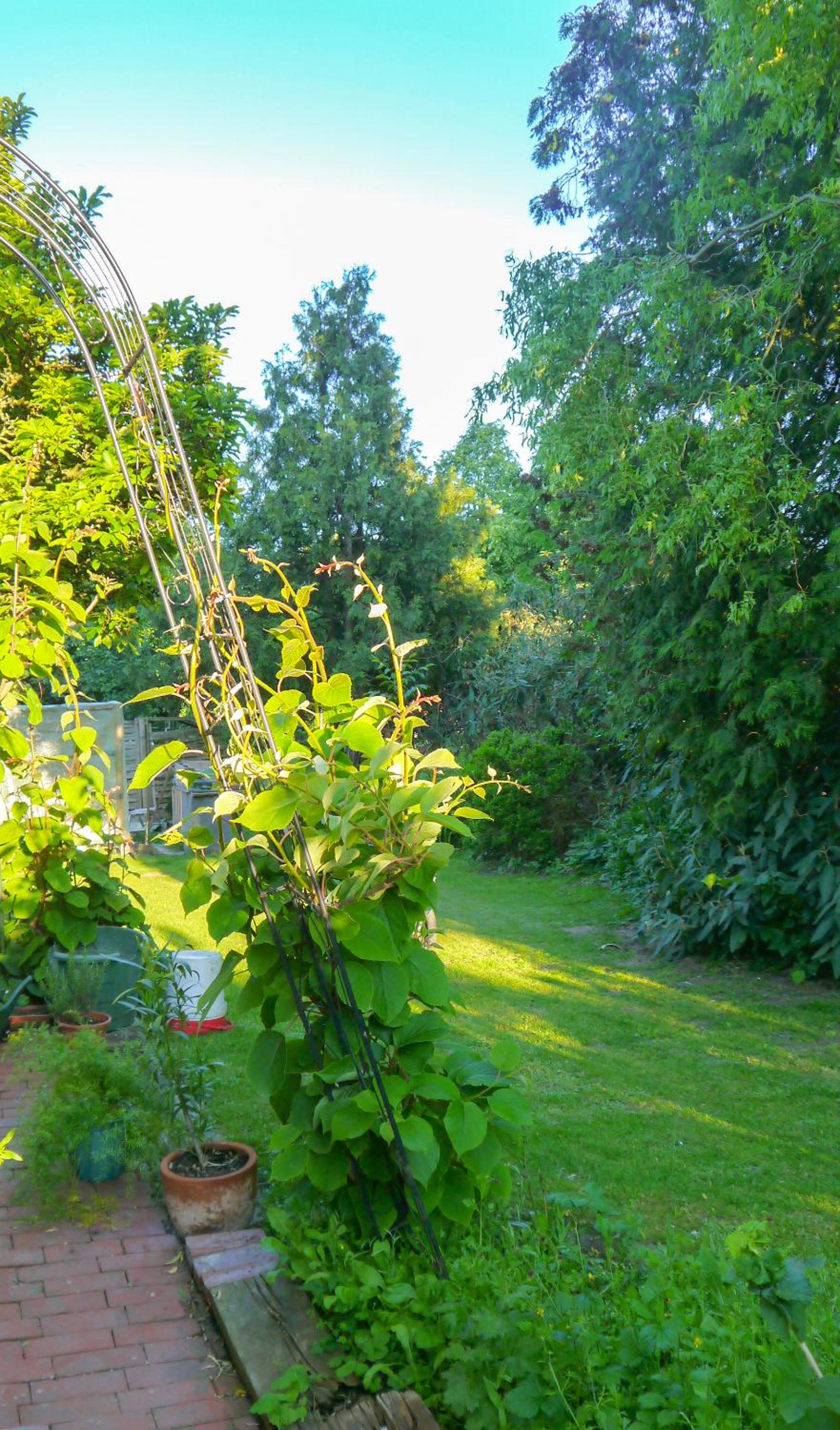 Two-Bedroom Deluxe Apartment with Garden View photo 2