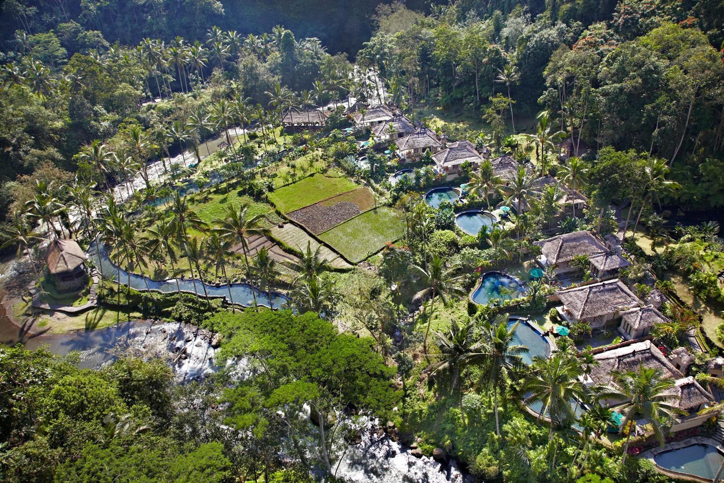 Healing Pool Villa with Daily 60-Minutes Massages thumbnail 6