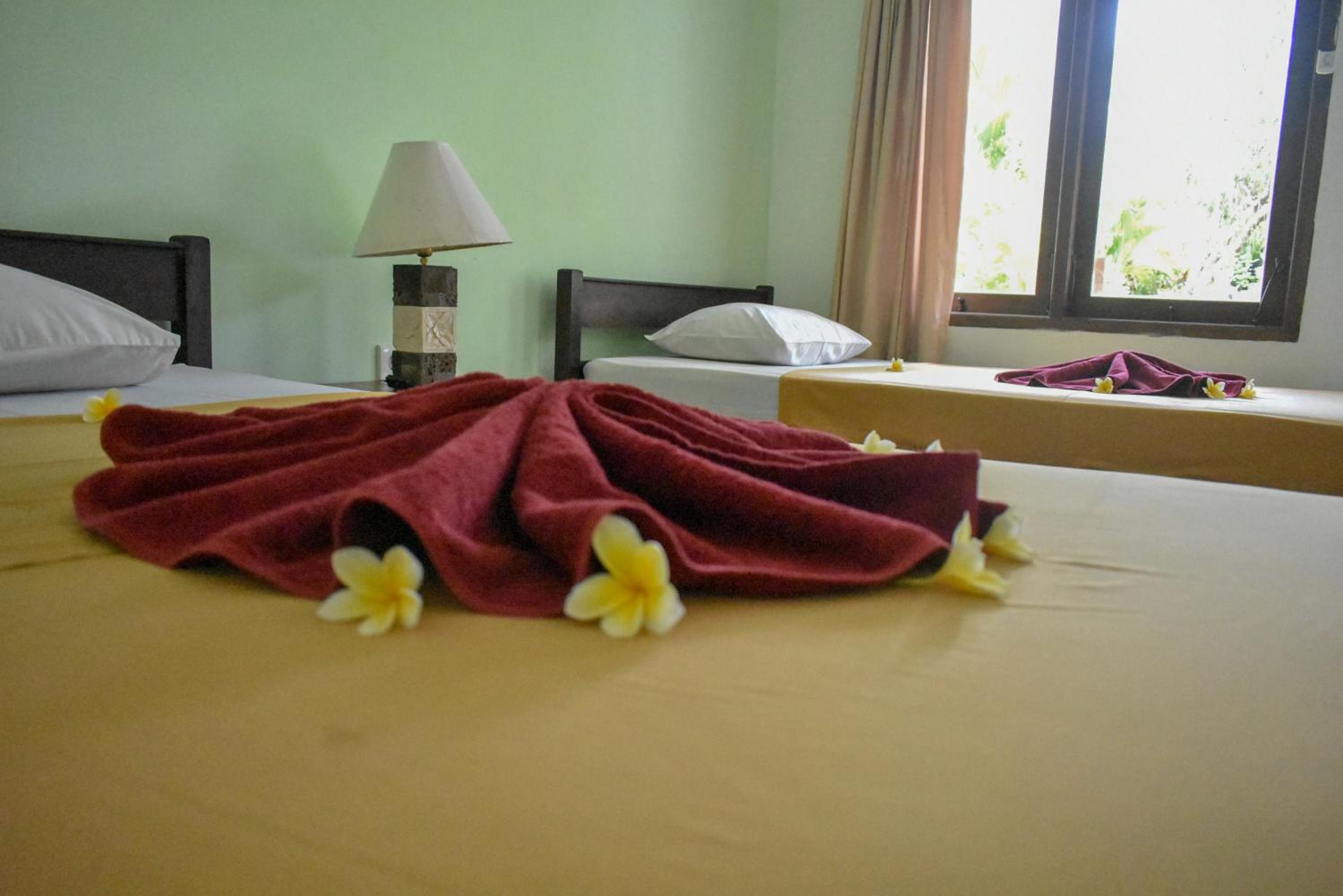 Standard Double or Twin Room photo 1