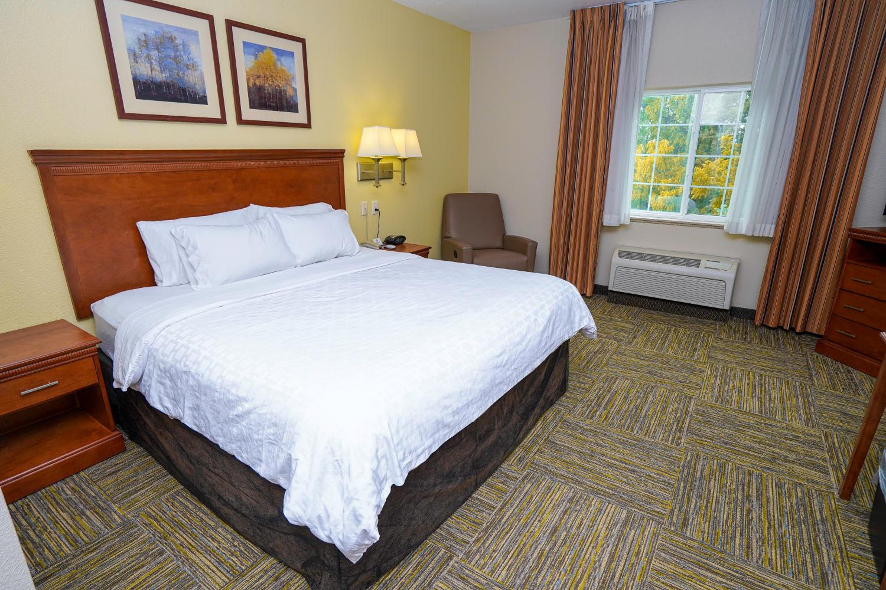 King Studio Suite - Photo 1