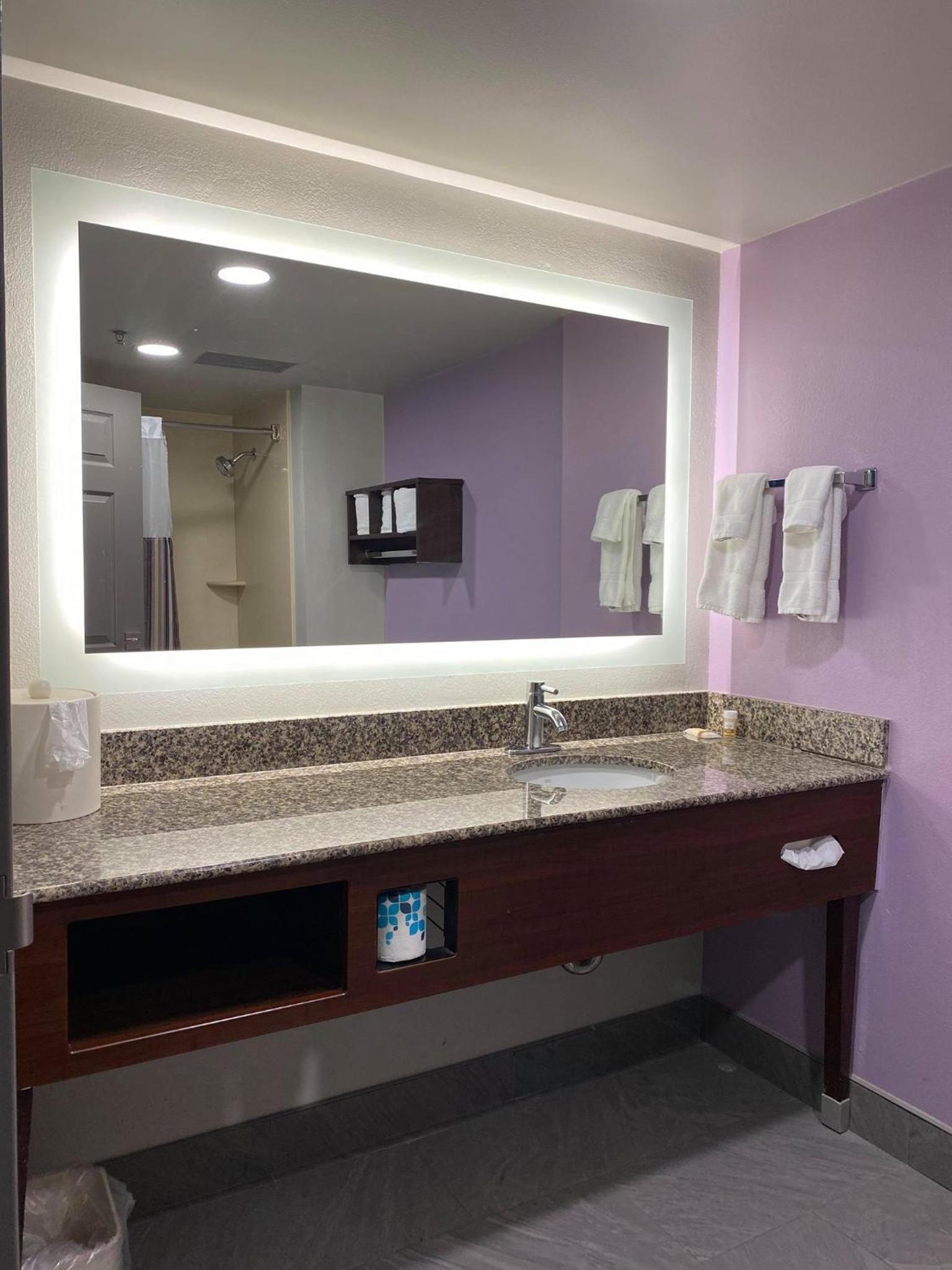 One-Bedroom Executive King Suite - Non-Smoking - Photo 5