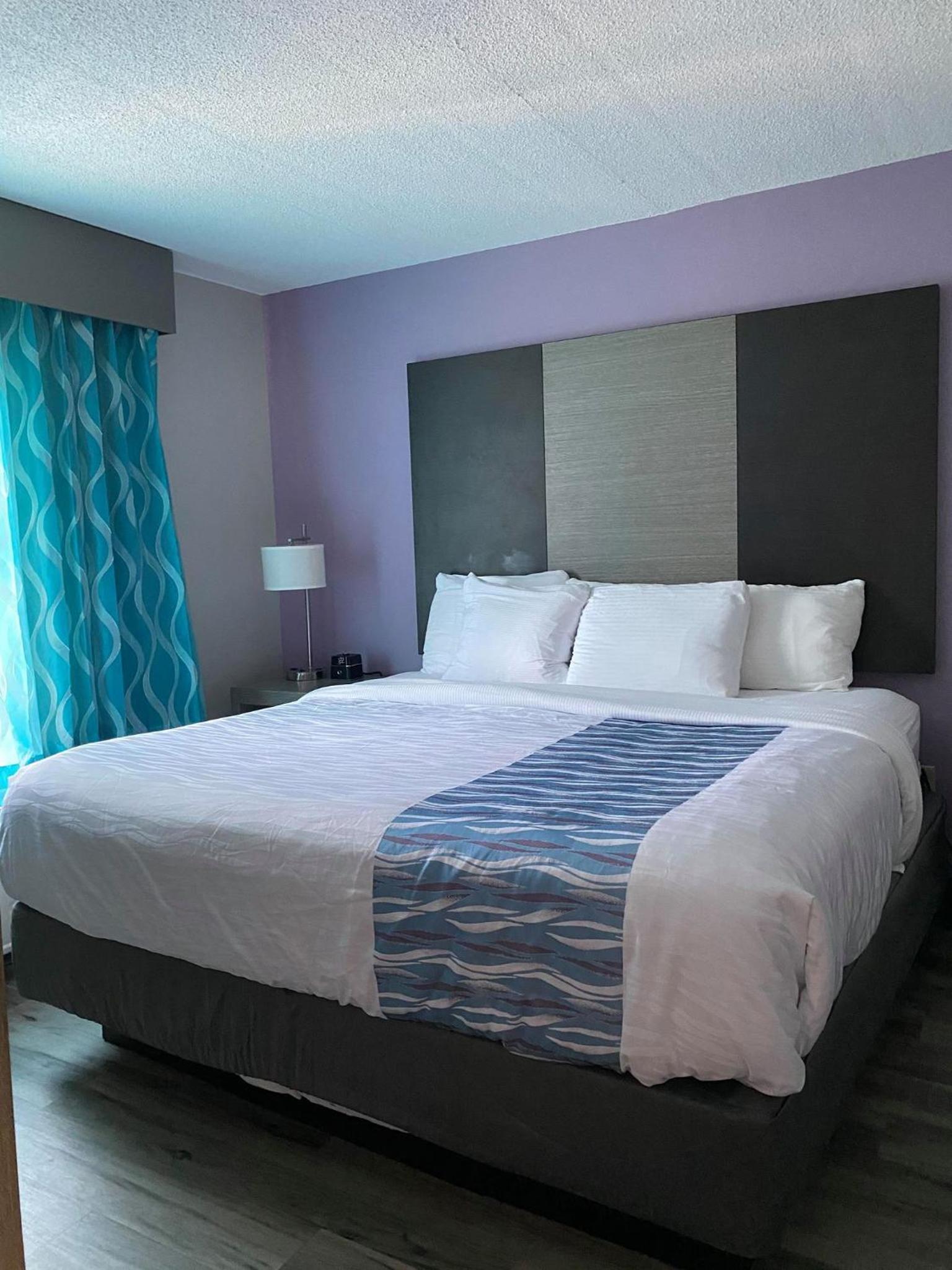 One-Bedroom Executive King Suite - Non-Smoking - Photo 4