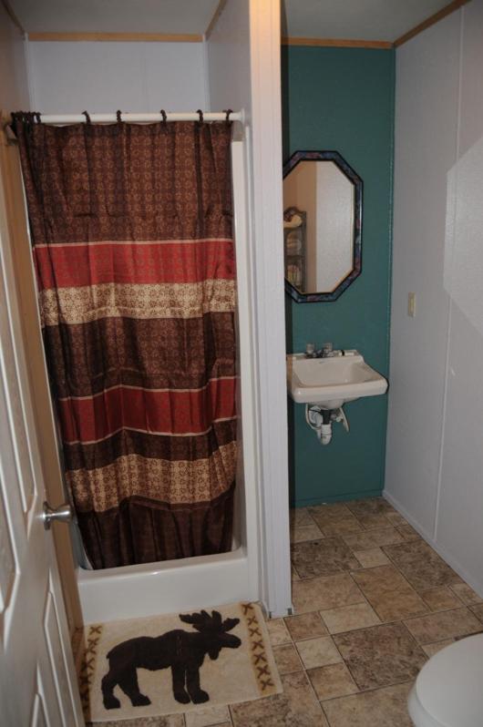 Mobile Home photo 2