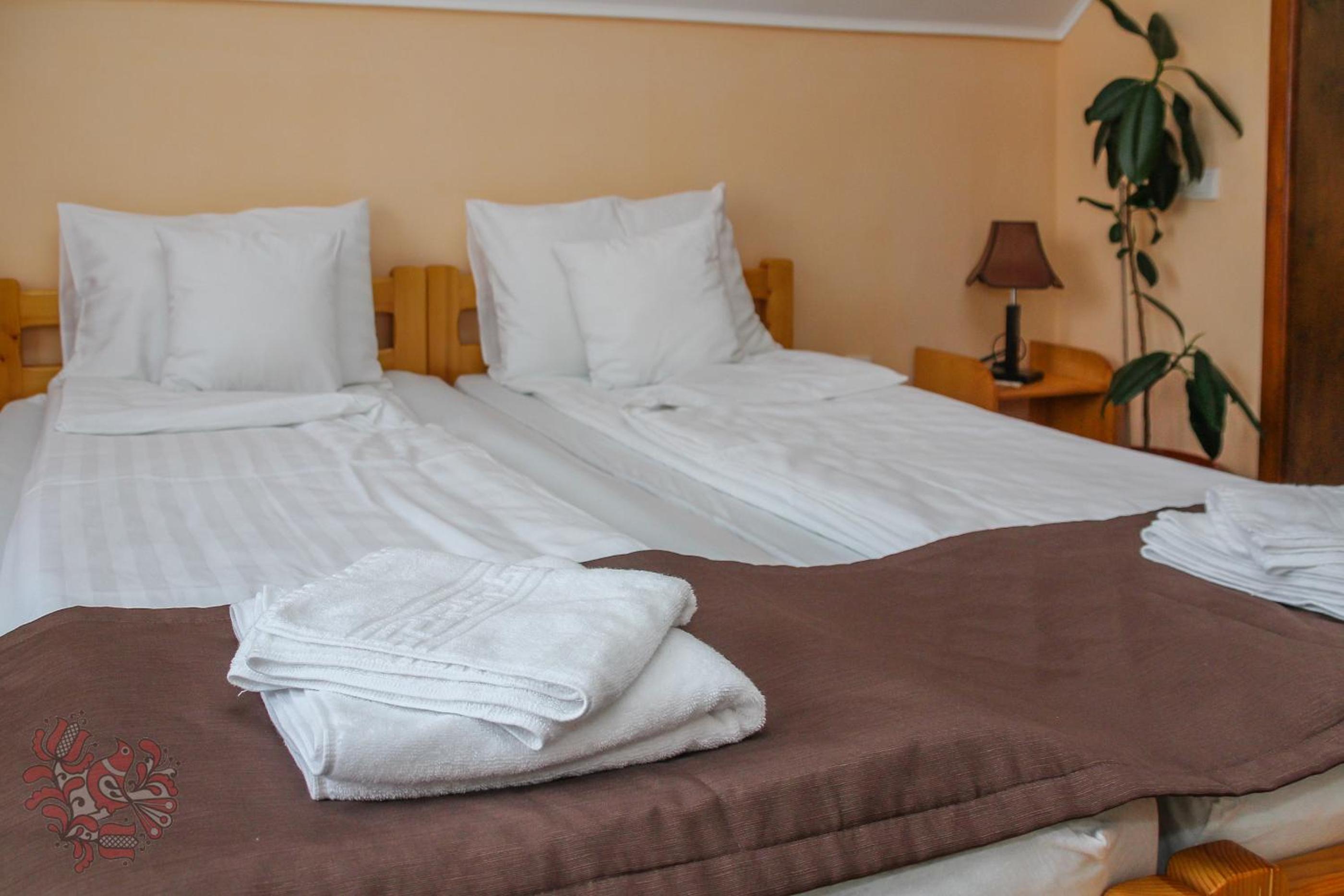 Double or Twin Room with Mountain View - Photo 2