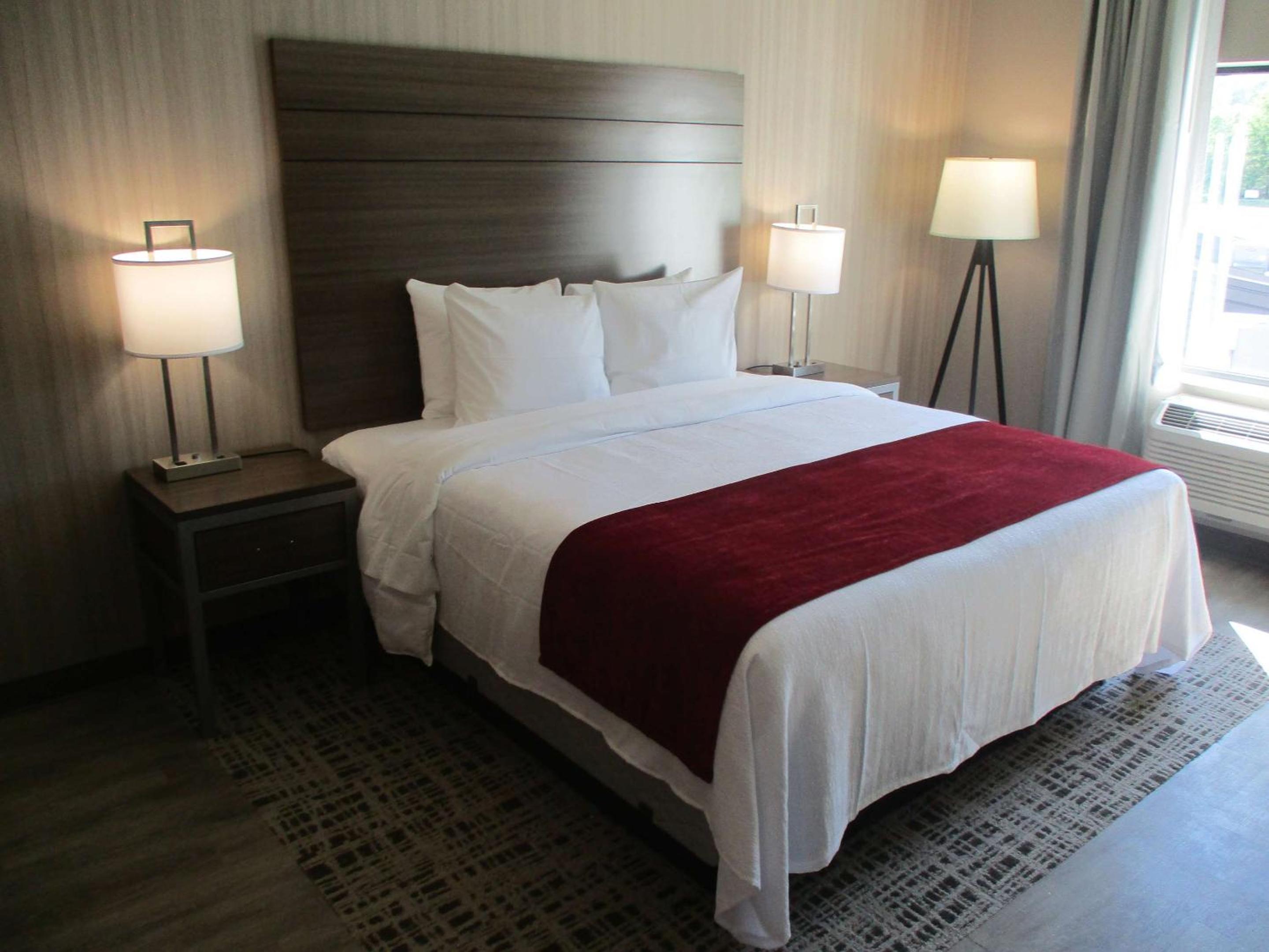 King Room - Non-Smoking - Photo 8