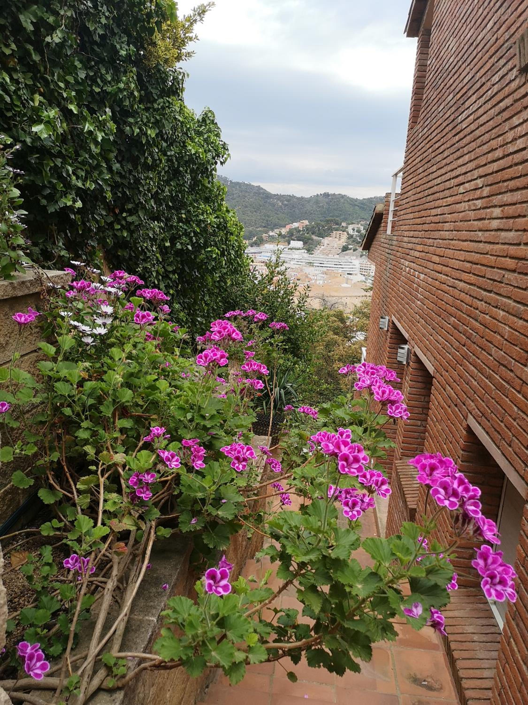 Villa - Photo 20