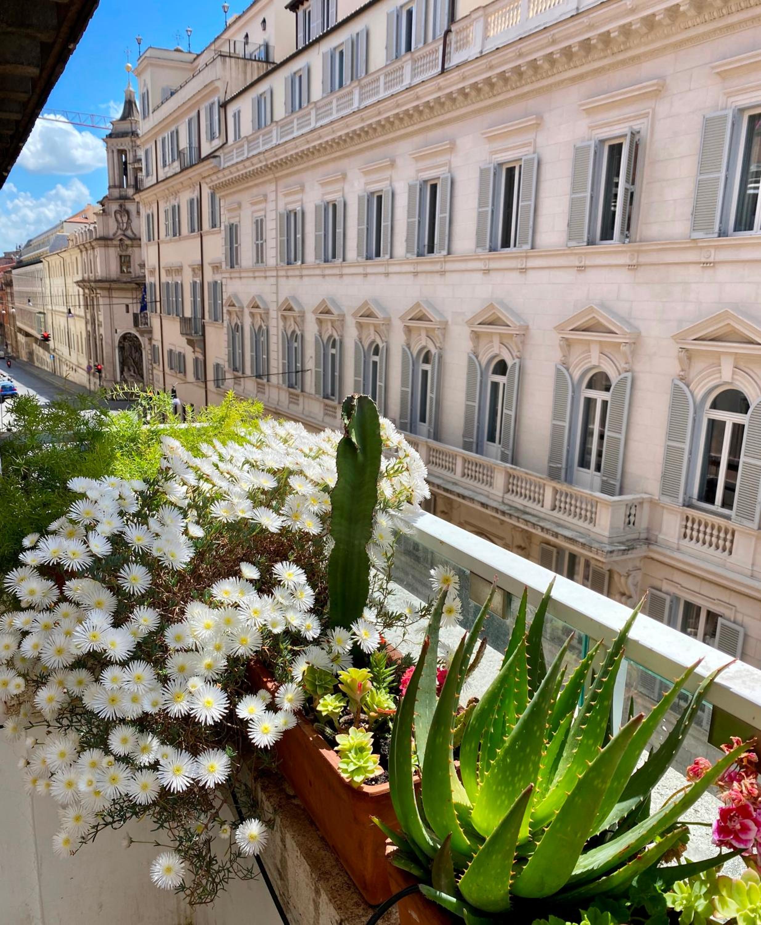 Deluxe Suite with Terrace photo 3