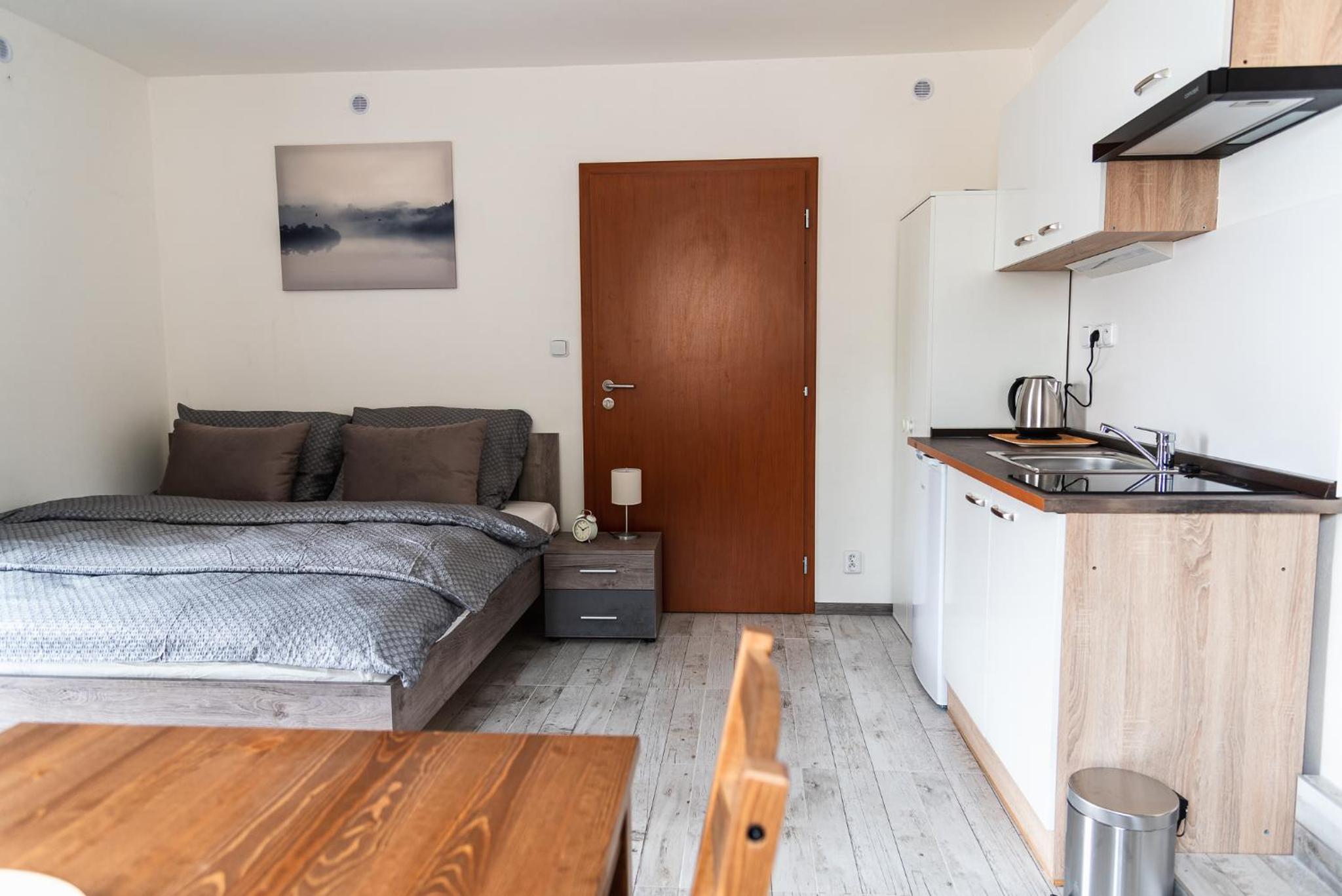 Apartment with Terrace photo 3