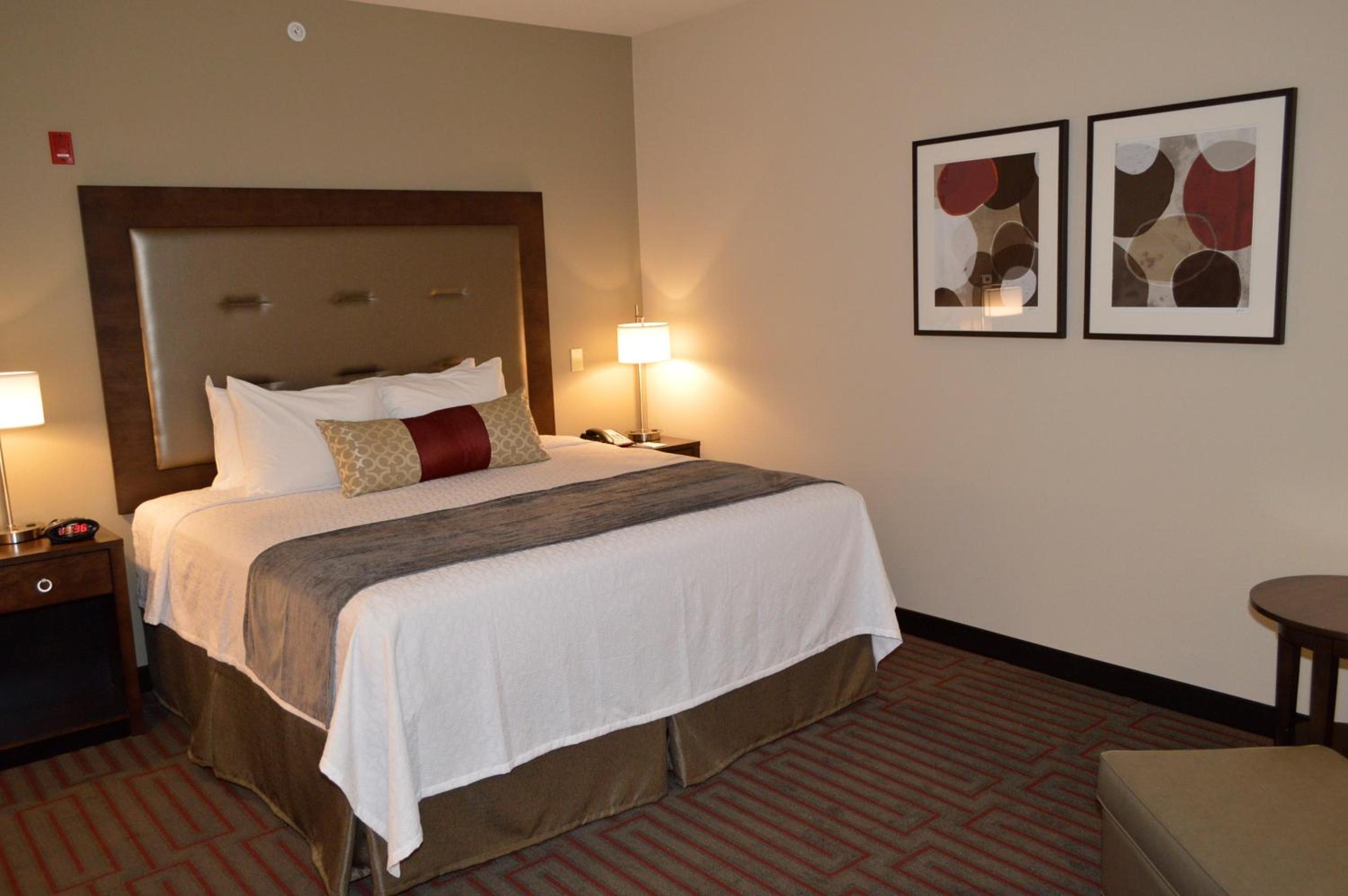 King Room - Non-Smoking photo 3