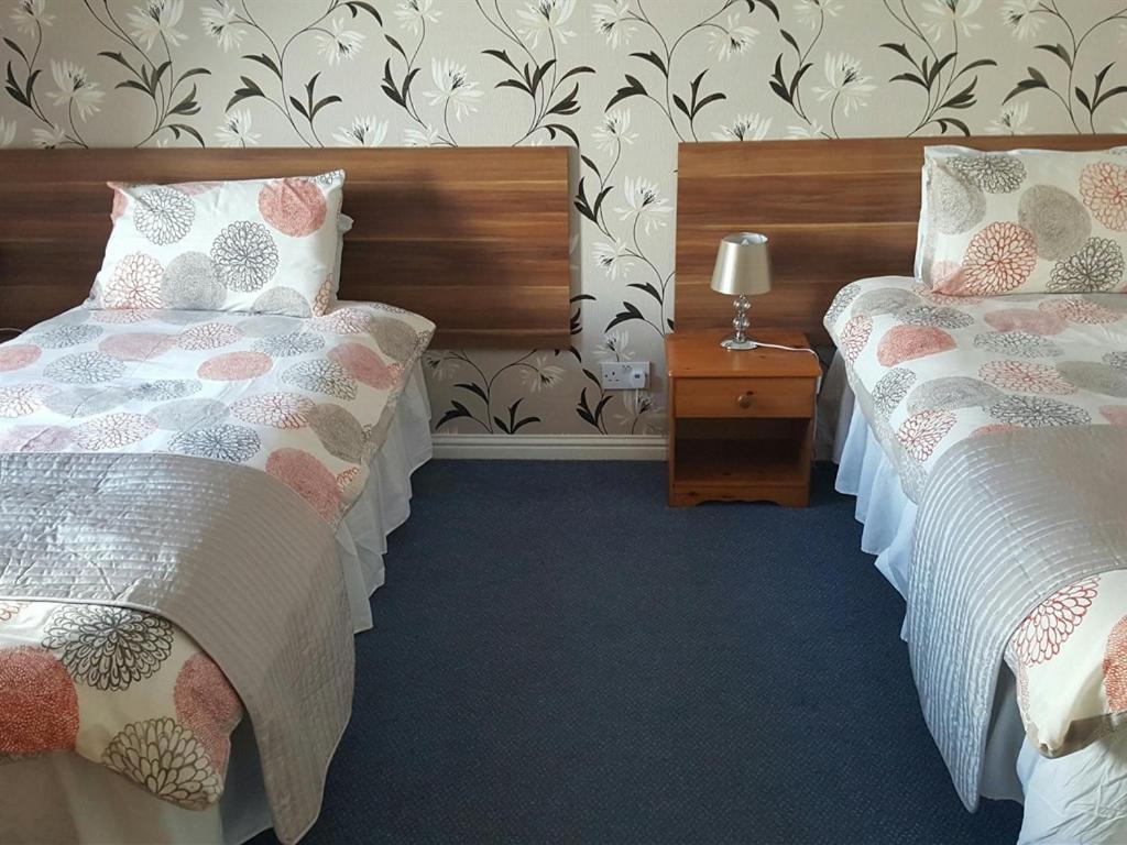 Twin Room photo 3