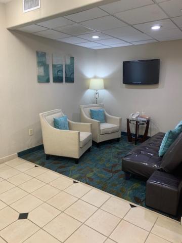 Studio Suite - Photo 1