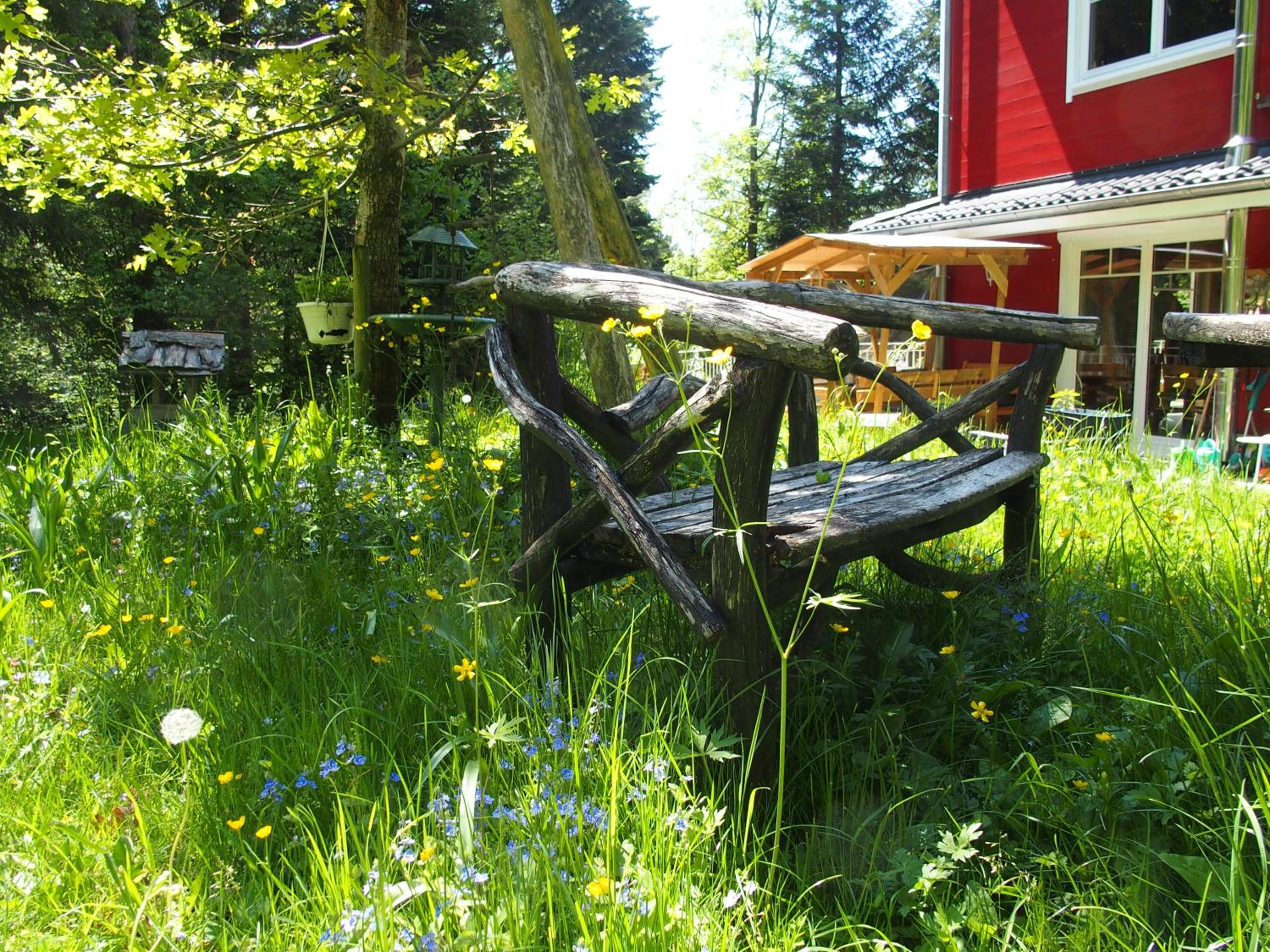 Studio With Garden View photo 1