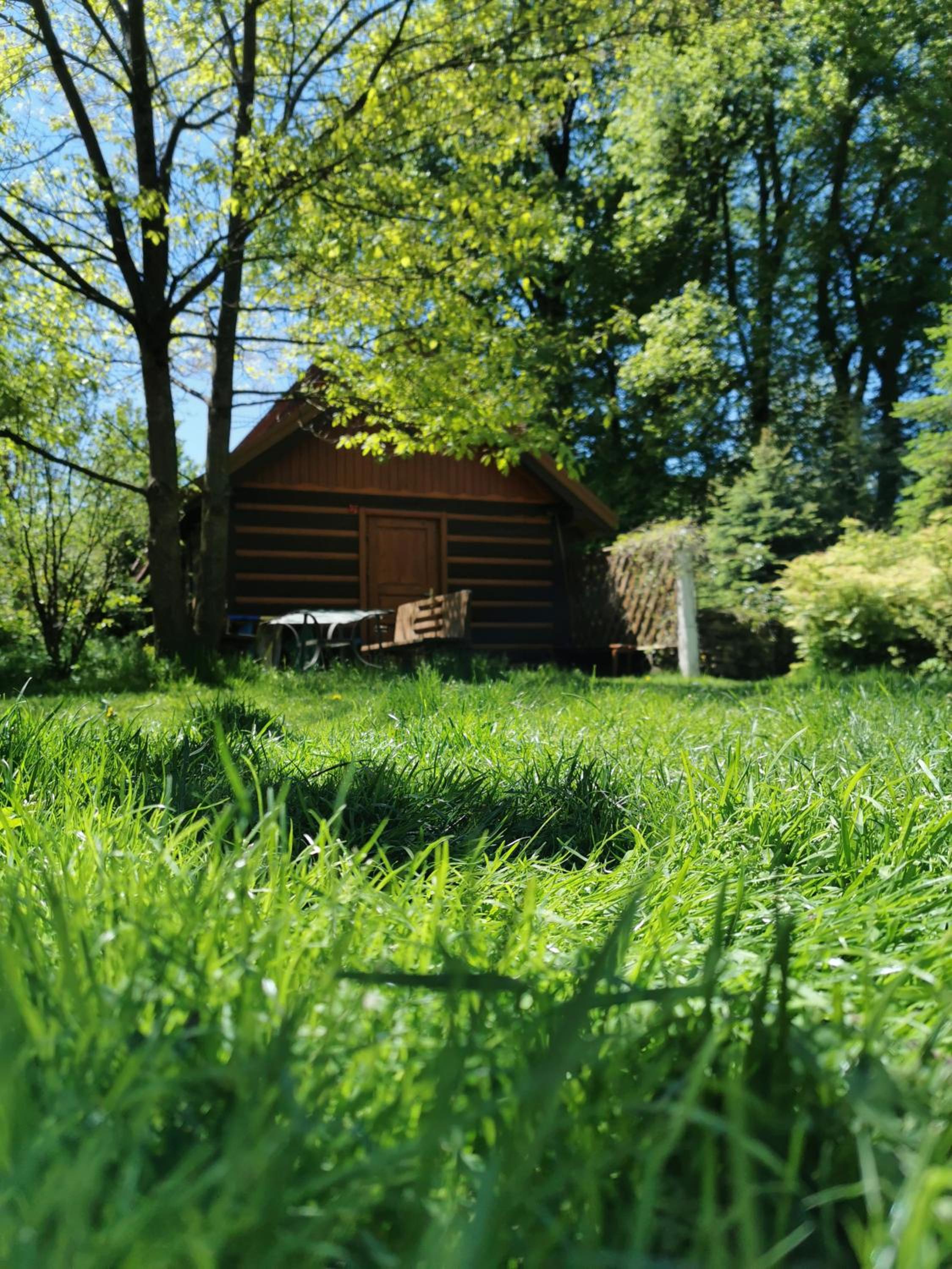 Family Room with Garden View photo 1